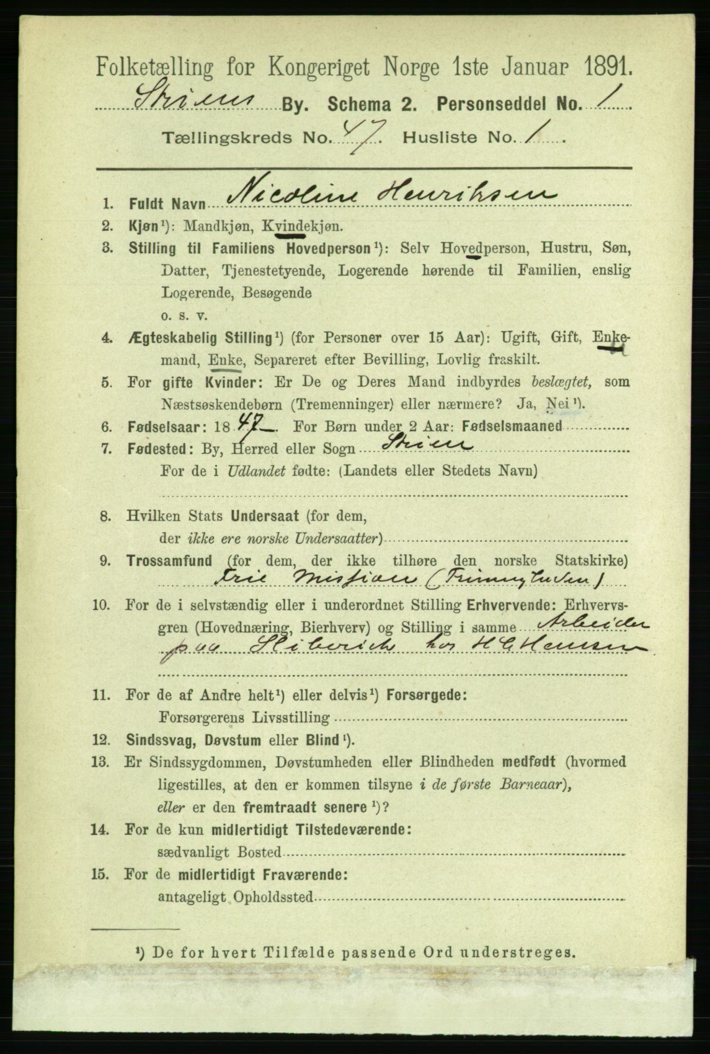 RA, 1891 census for 0806 Skien, 1891, p. 9206