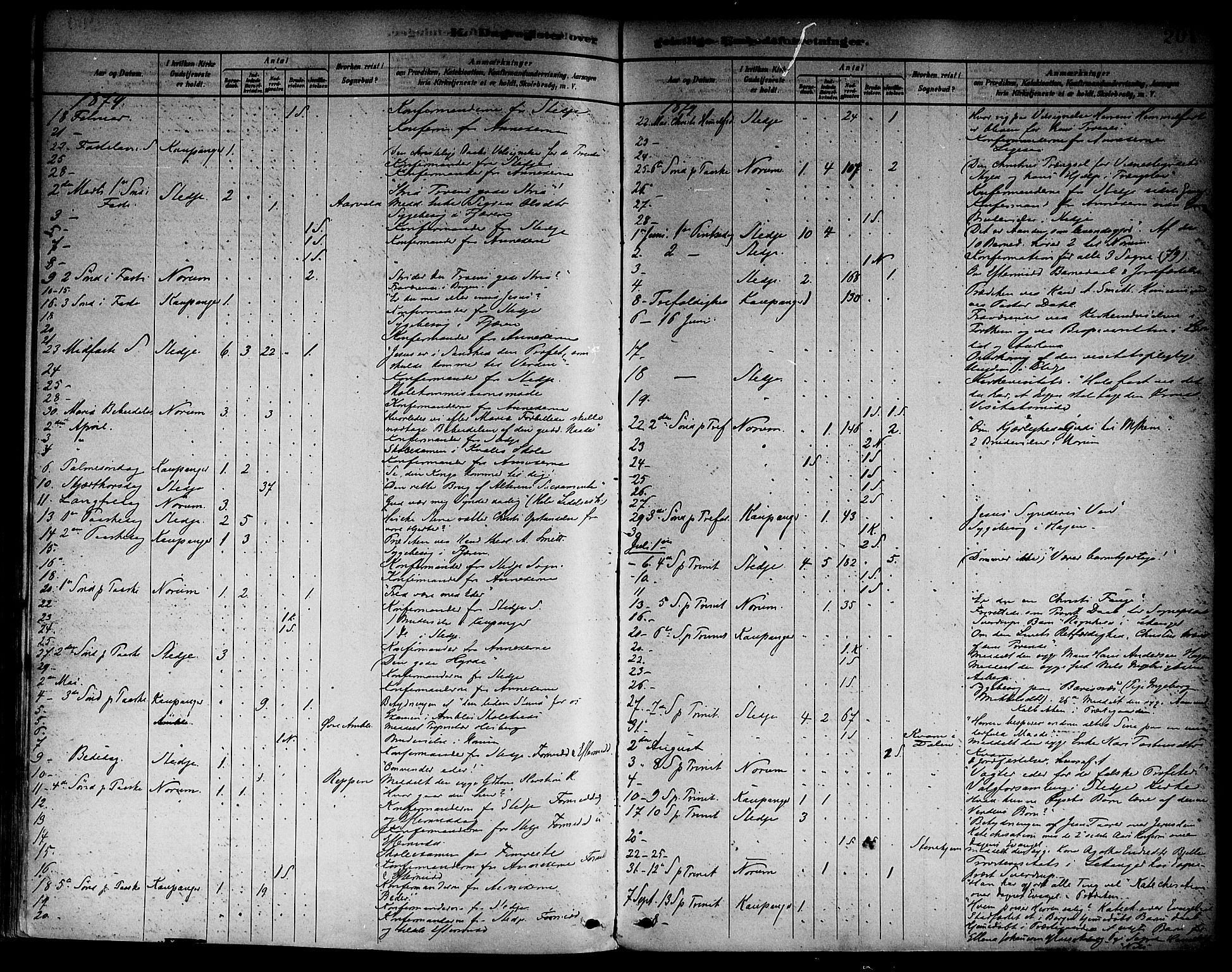 Sogndal sokneprestembete, AV/SAB-A-81301/H/Haa/Haab/L0001: Parish register (official) no. B 1, 1878-1899, p. 201