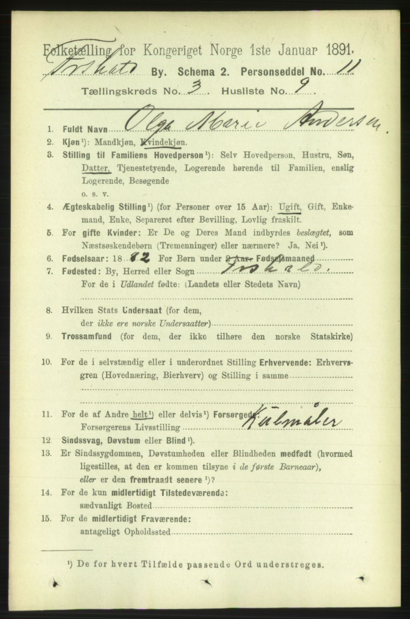 RA, 1891 census for 0101 Fredrikshald, 1891, p. 3350