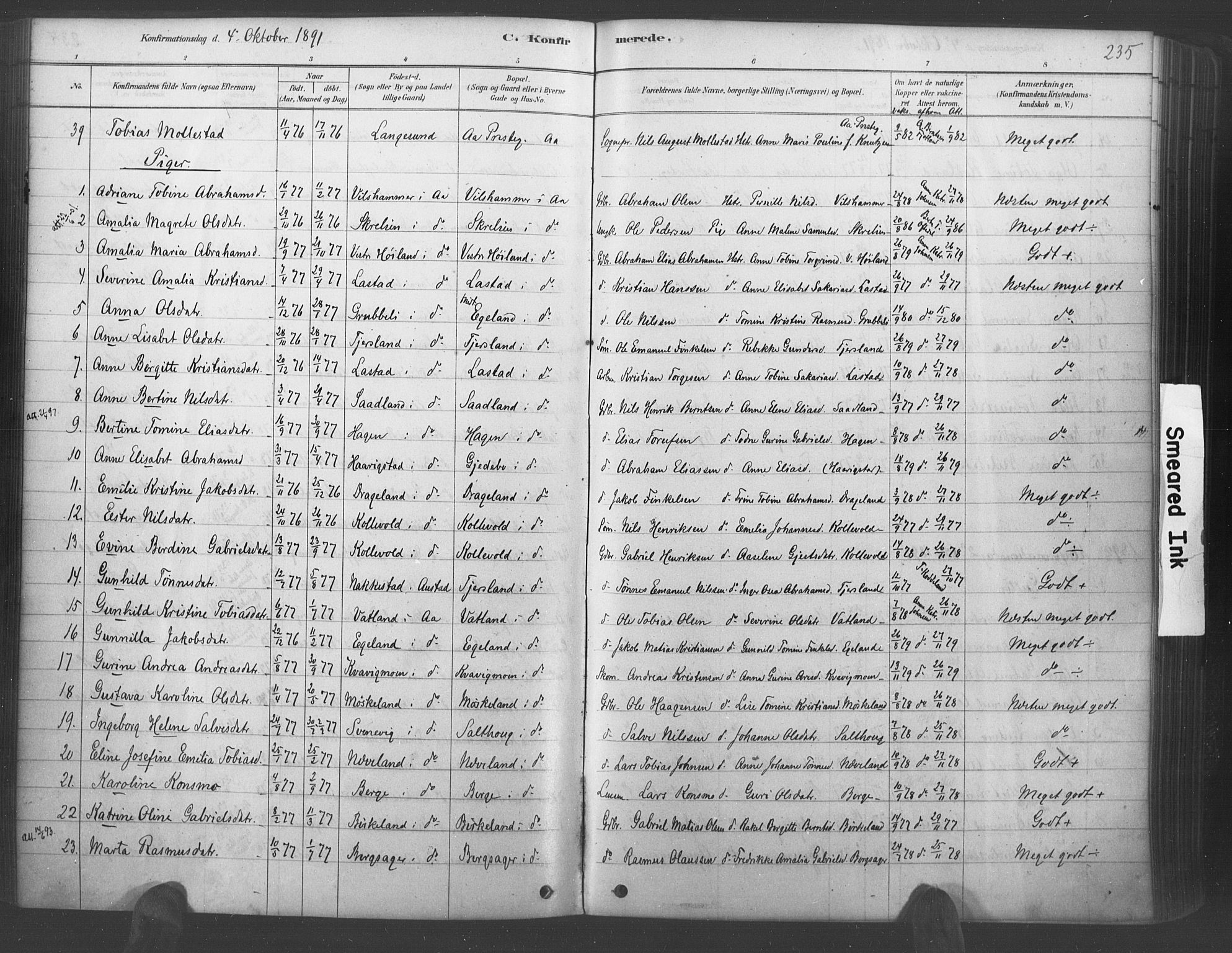 Lyngdal sokneprestkontor, AV/SAK-1111-0029/F/Fa/Fac/L0011: Parish register (official) no. A 11, 1878-1893, p. 235