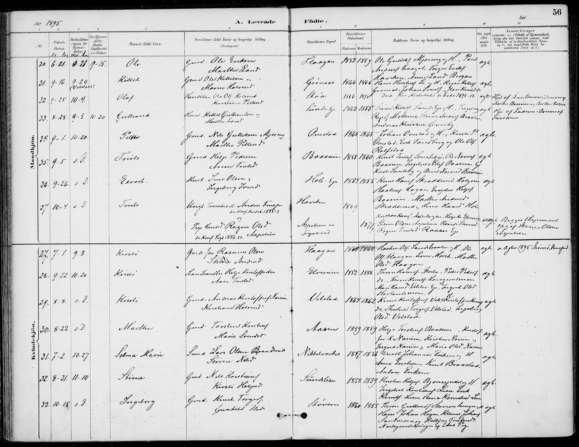 Sigdal kirkebøker, AV/SAKO-A-245/F/Fb/L0001: Parish register (official) no. II 1, 1888-1900, p. 56