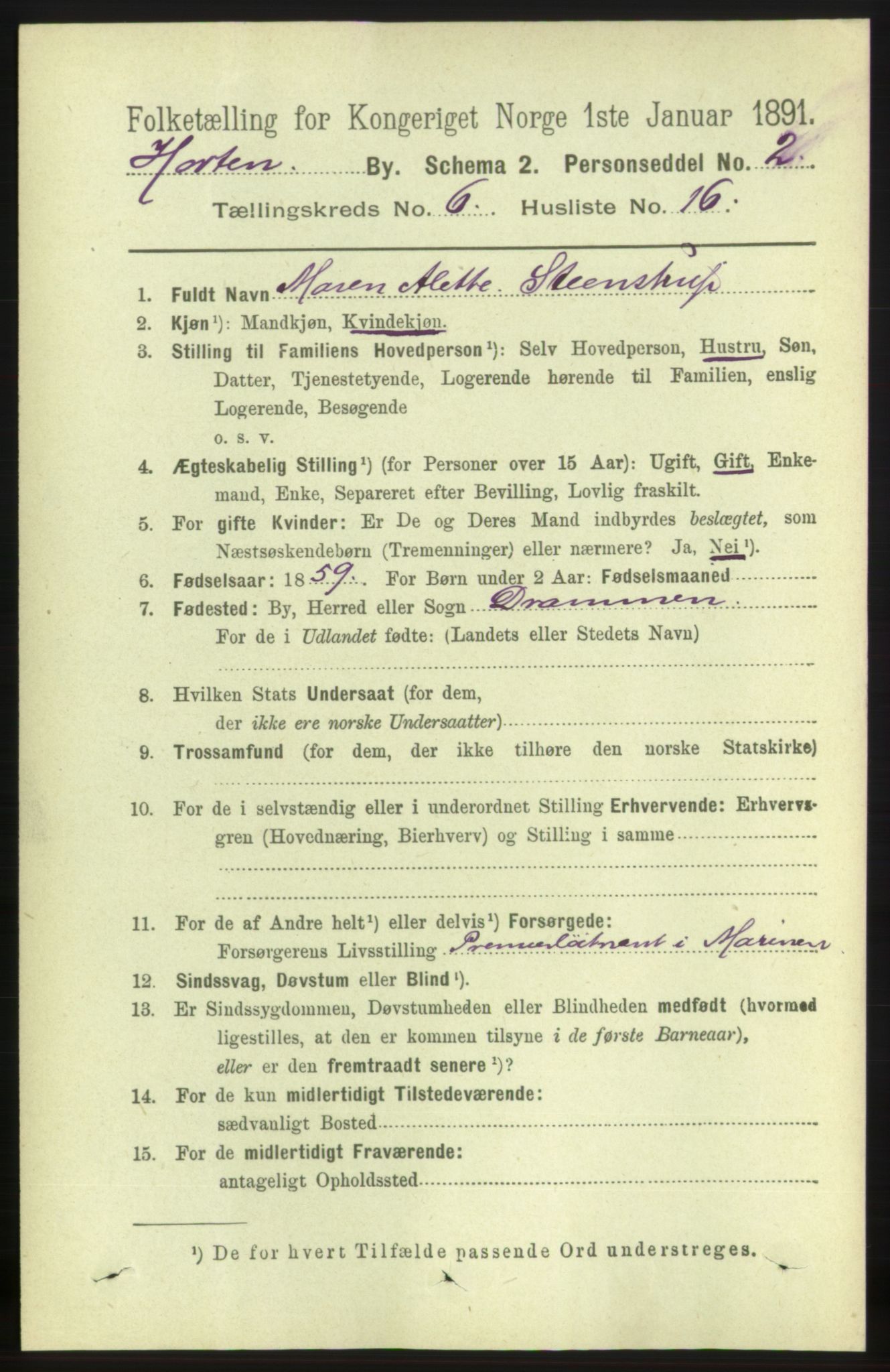 RA, 1891 census for 0703 Horten, 1891, p. 3892