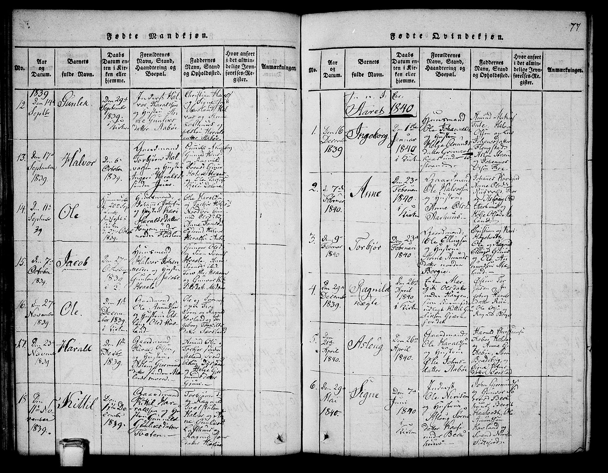 Hjartdal kirkebøker, SAKO/A-270/G/Ga/L0001: Parish register (copy) no. I 1, 1815-1842, p. 77
