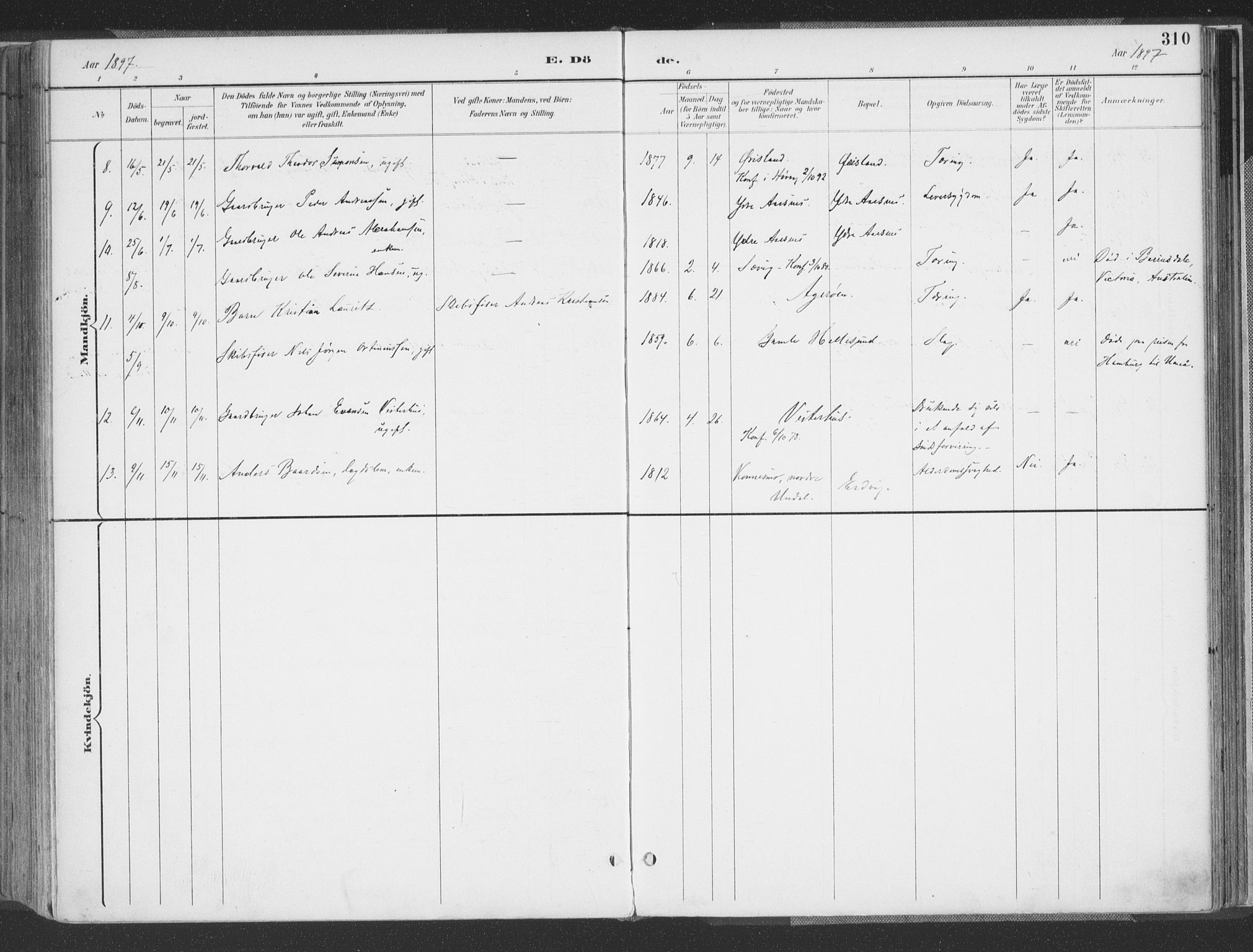 Høvåg sokneprestkontor, AV/SAK-1111-0025/F/Fa/L0006: Parish register (official) no. A 6, 1894-1923, p. 310