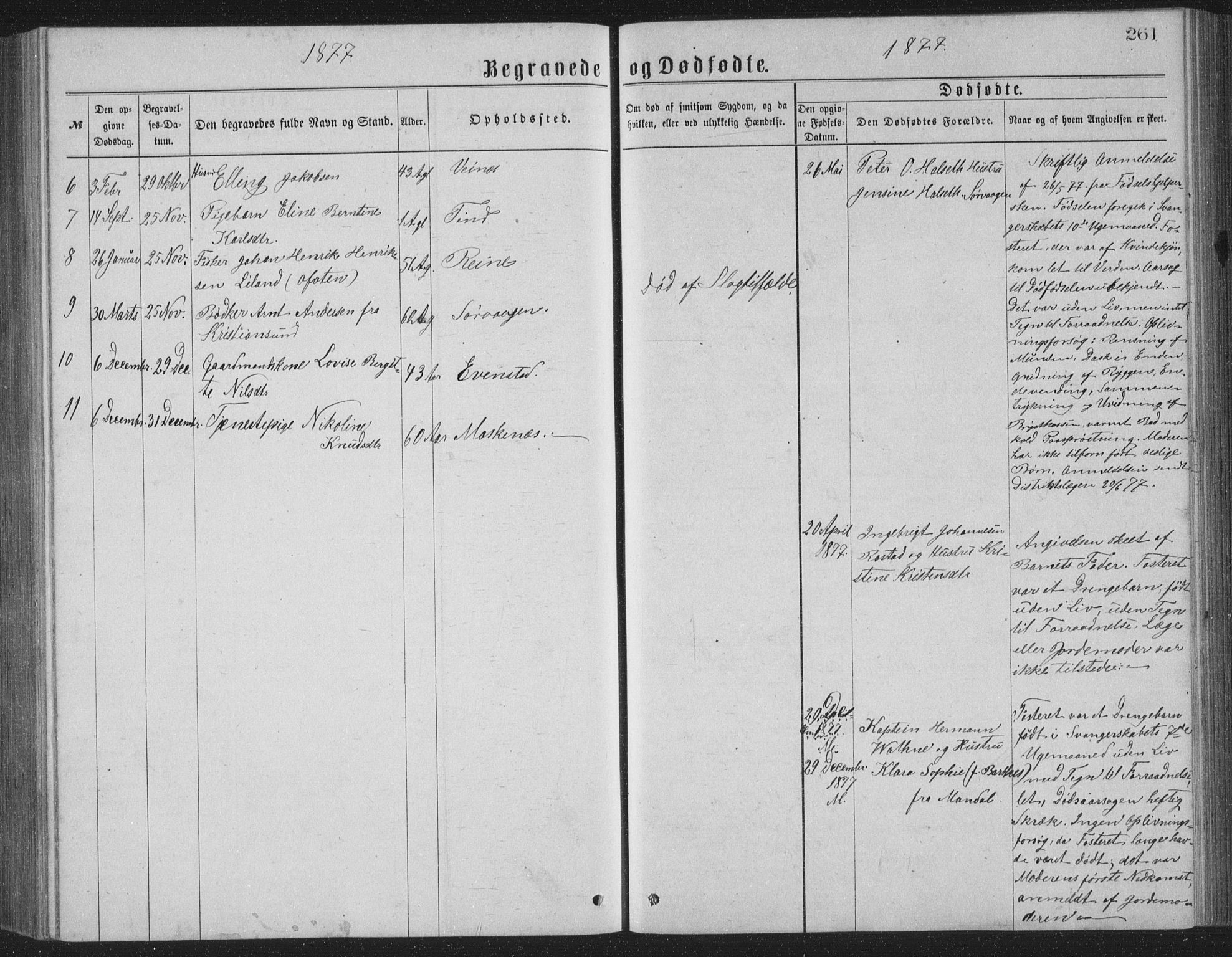 Ministerialprotokoller, klokkerbøker og fødselsregistre - Nordland, AV/SAT-A-1459/886/L1225: Parish register (copy) no. 886C02, 1874-1896, p. 261