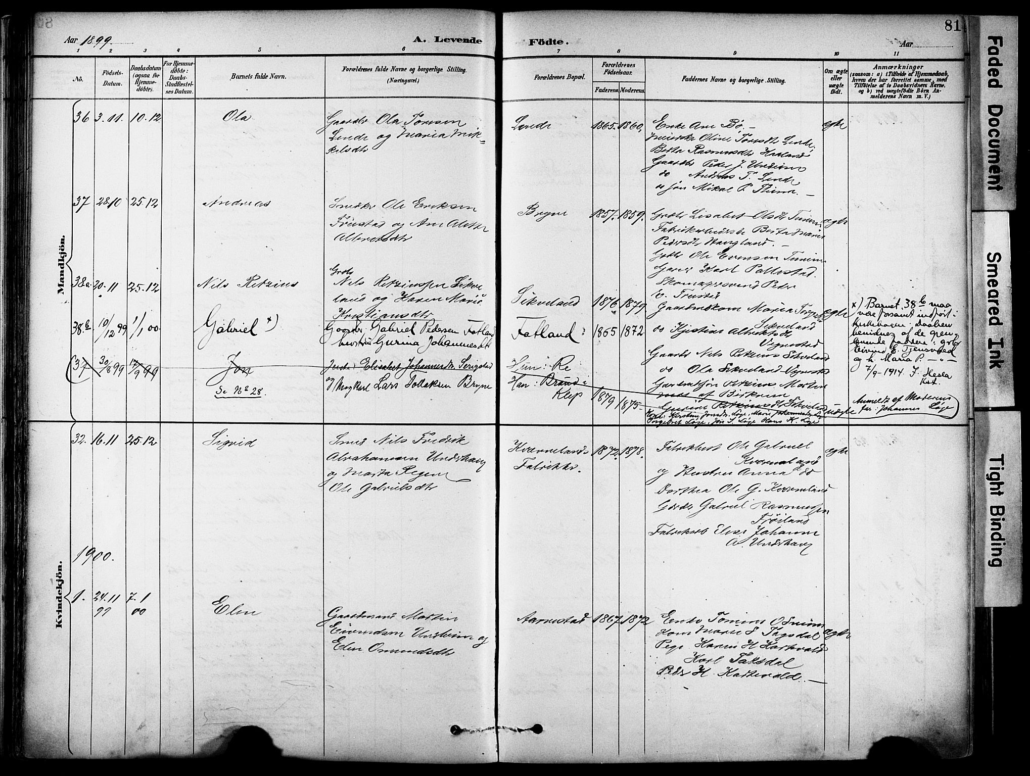 Lye sokneprestkontor, SAST/A-101794/001/30BA/L0011: Parish register (official) no. A 9, 1893-1903, p. 81