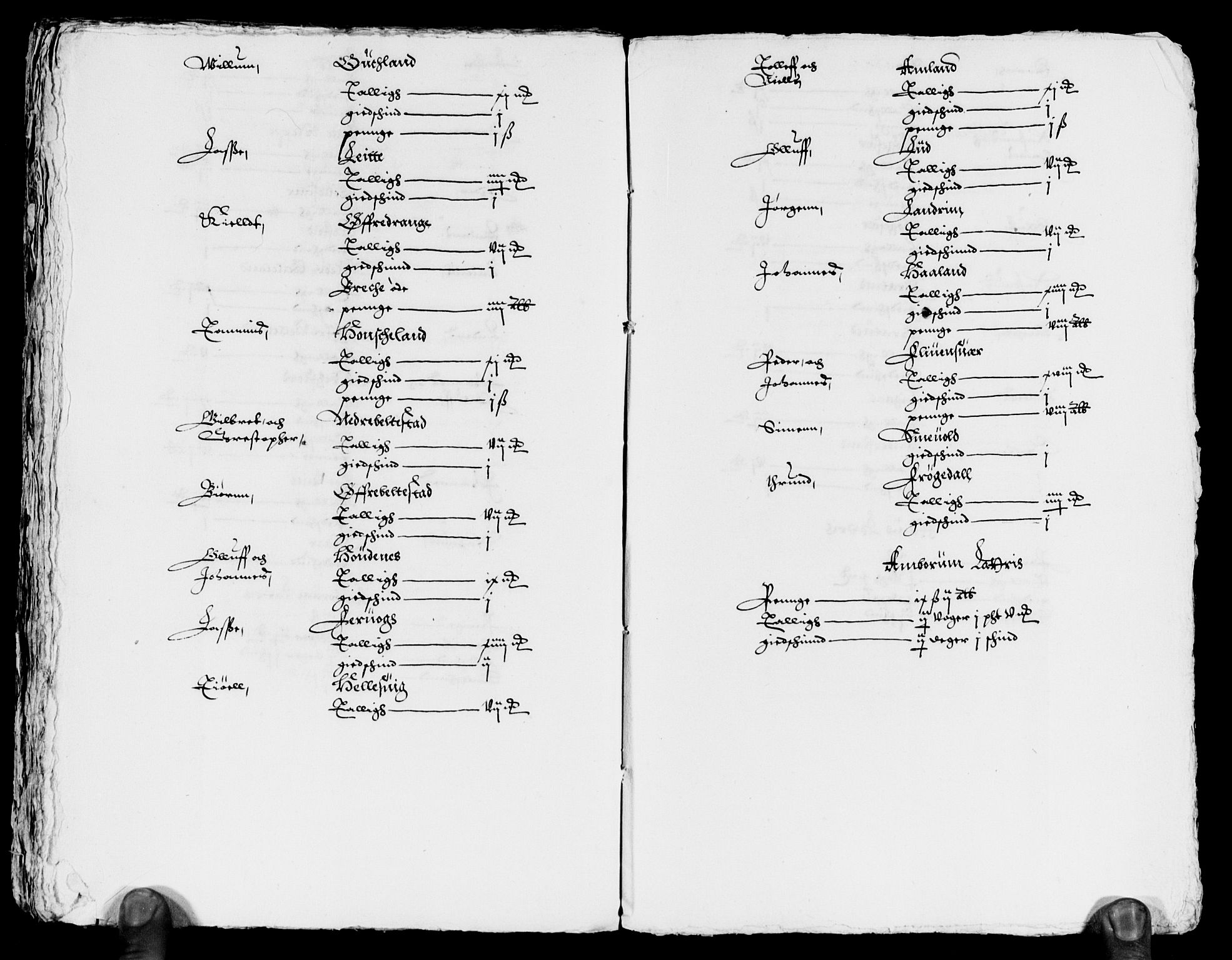 Rentekammeret inntil 1814, Reviderte regnskaper, Lensregnskaper, AV/RA-EA-5023/R/Rb/Rbt/L0030: Bergenhus len, 1620-1621