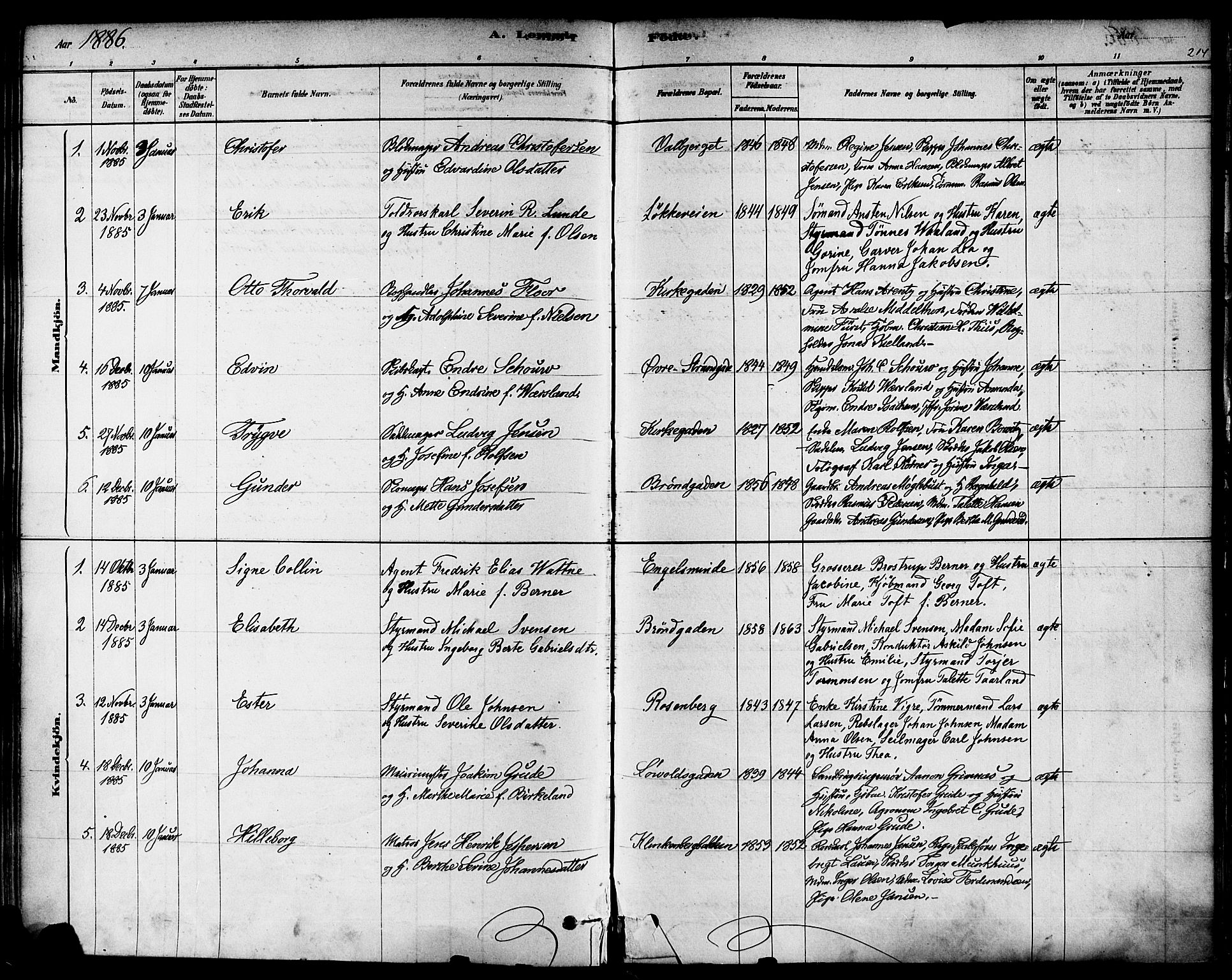 Domkirken sokneprestkontor, SAST/A-101812/001/30/30BA/L0026: Parish register (official) no. A 25, 1878-1889, p. 214