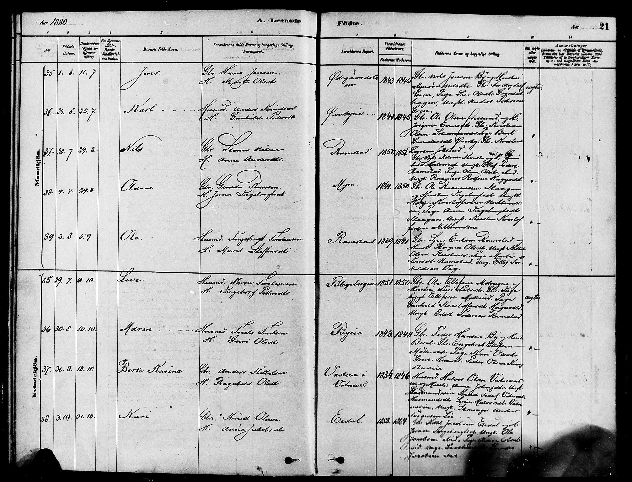 Sigdal kirkebøker, SAKO/A-245/F/Fa/L0011: Parish register (official) no. I 11, 1879-1887, p. 21