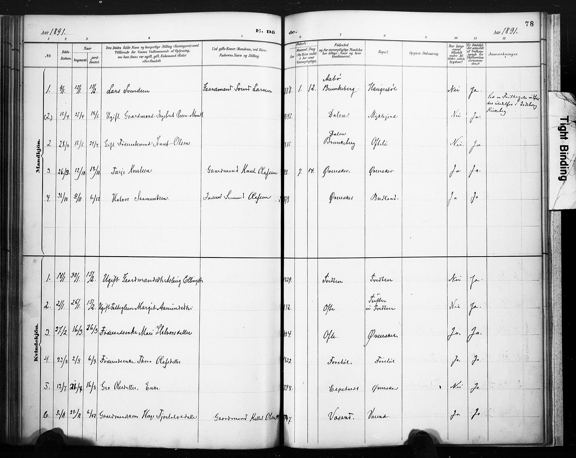 Lårdal kirkebøker, SAKO/A-284/F/Fc/L0002: Parish register (official) no. III 2, 1887-1906, p. 78