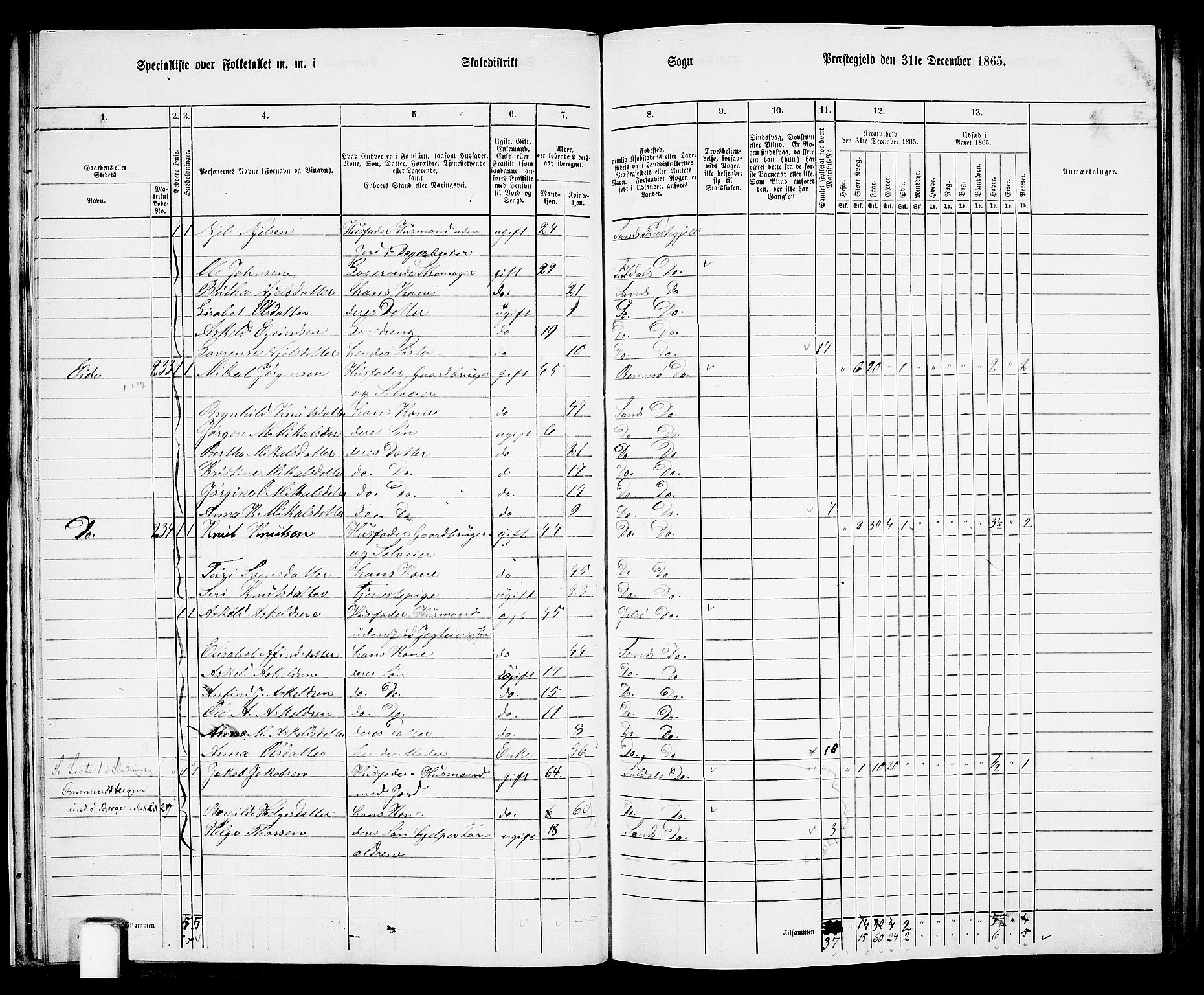 RA, 1865 census for Sand, 1865, p. 31