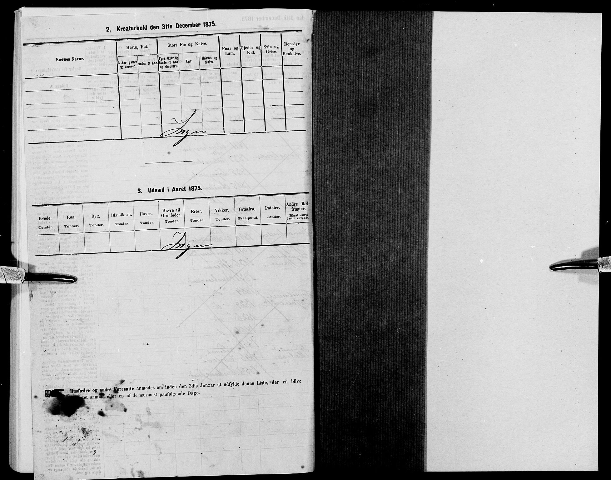 SAK, 1875 census for 1001P Kristiansand, 1875, p. 1705