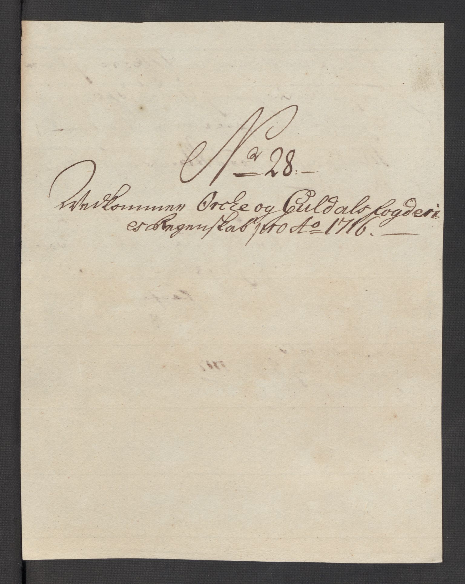 Rentekammeret inntil 1814, Reviderte regnskaper, Fogderegnskap, AV/RA-EA-4092/R60/L3967: Fogderegnskap Orkdal og Gauldal, 1716, p. 248