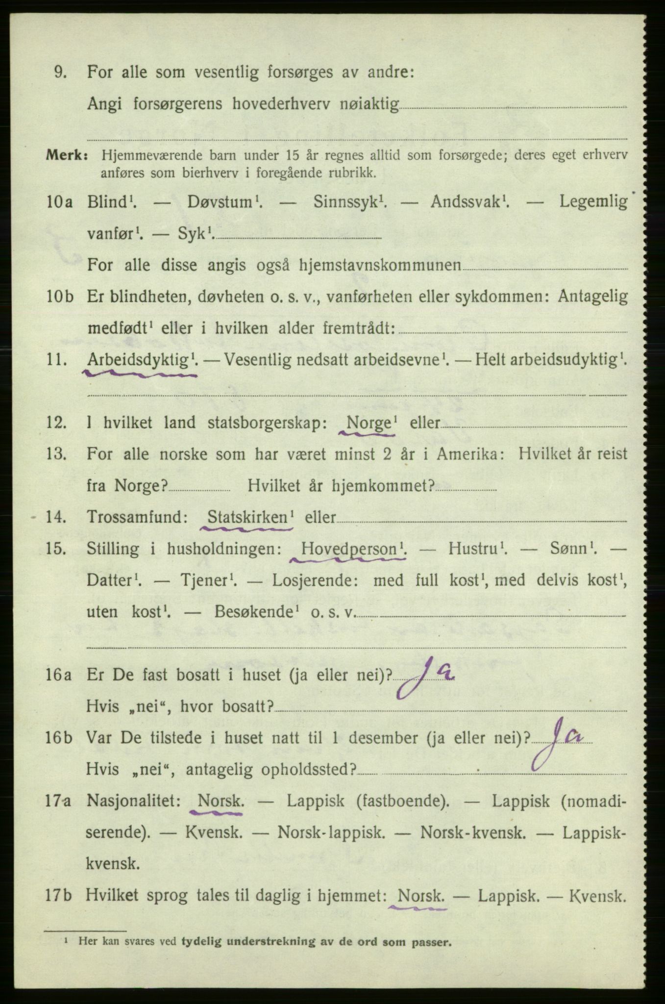 SATØ, 1920 census for Loppa, 1920, p. 1031