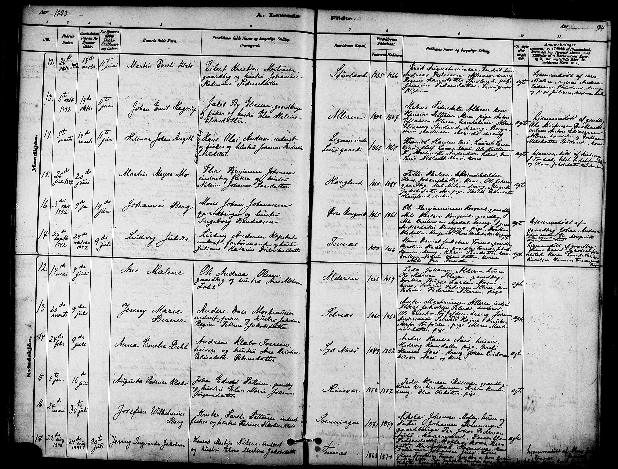 Ministerialprotokoller, klokkerbøker og fødselsregistre - Nordland, AV/SAT-A-1459/839/L0568: Parish register (official) no. 839A05, 1880-1902, p. 94