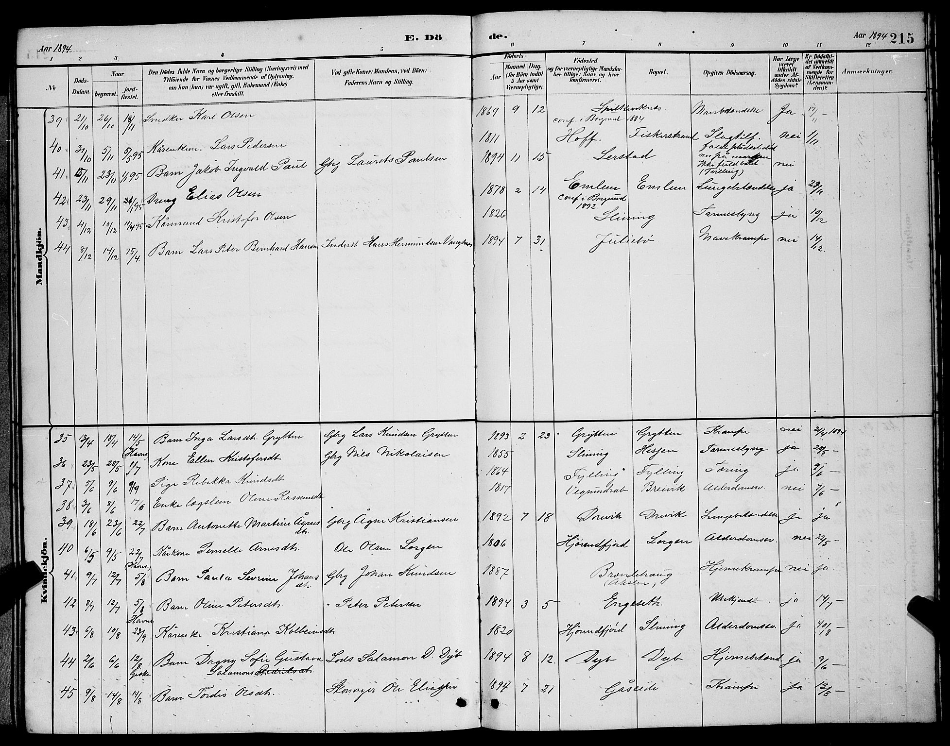 Ministerialprotokoller, klokkerbøker og fødselsregistre - Møre og Romsdal, SAT/A-1454/528/L0430: Parish register (copy) no. 528C11, 1884-1899, p. 215