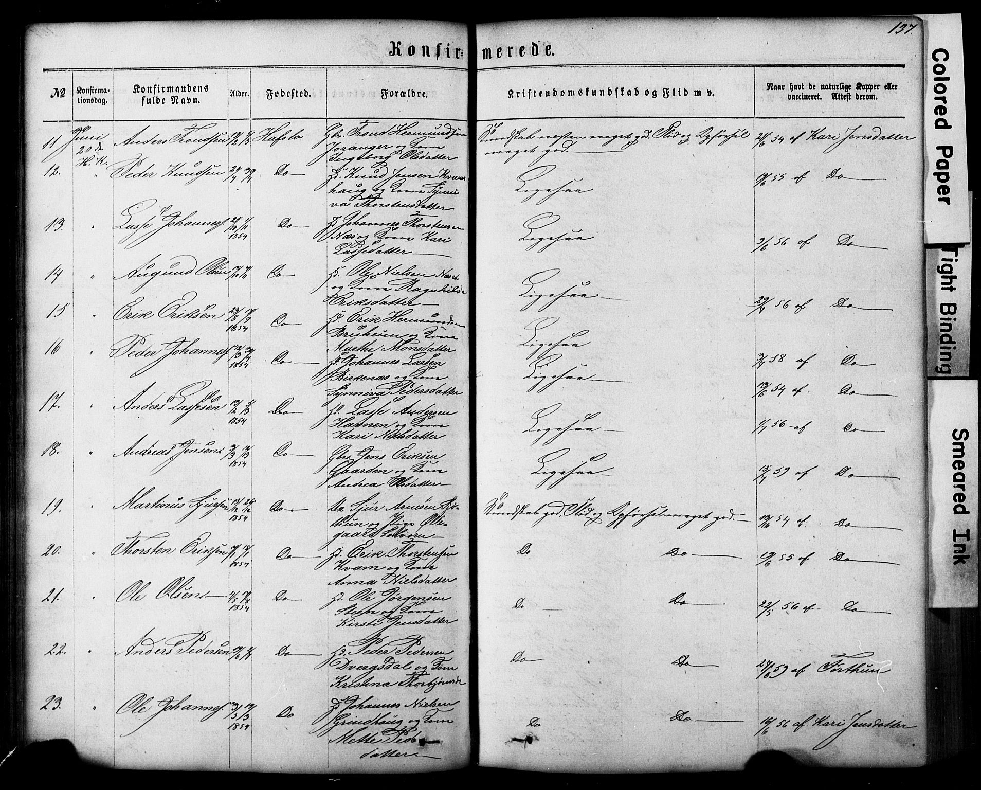 Hafslo sokneprestembete, AV/SAB-A-80301/H/Hab/Haba/L0001: Parish register (copy) no. A 1, 1866-1908, p. 137