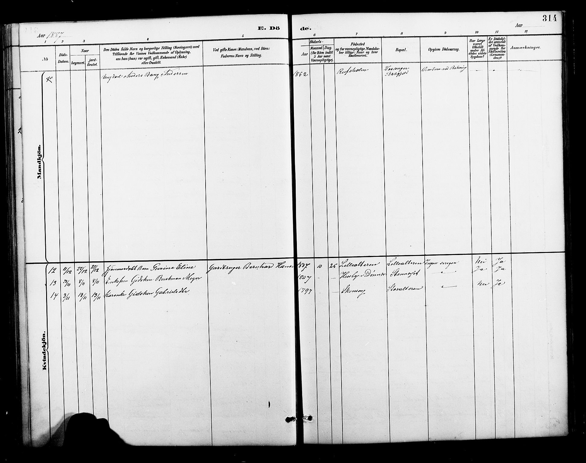 Ministerialprotokoller, klokkerbøker og fødselsregistre - Nordland, AV/SAT-A-1459/827/L0421: Parish register (copy) no. 827C10, 1887-1906, p. 314