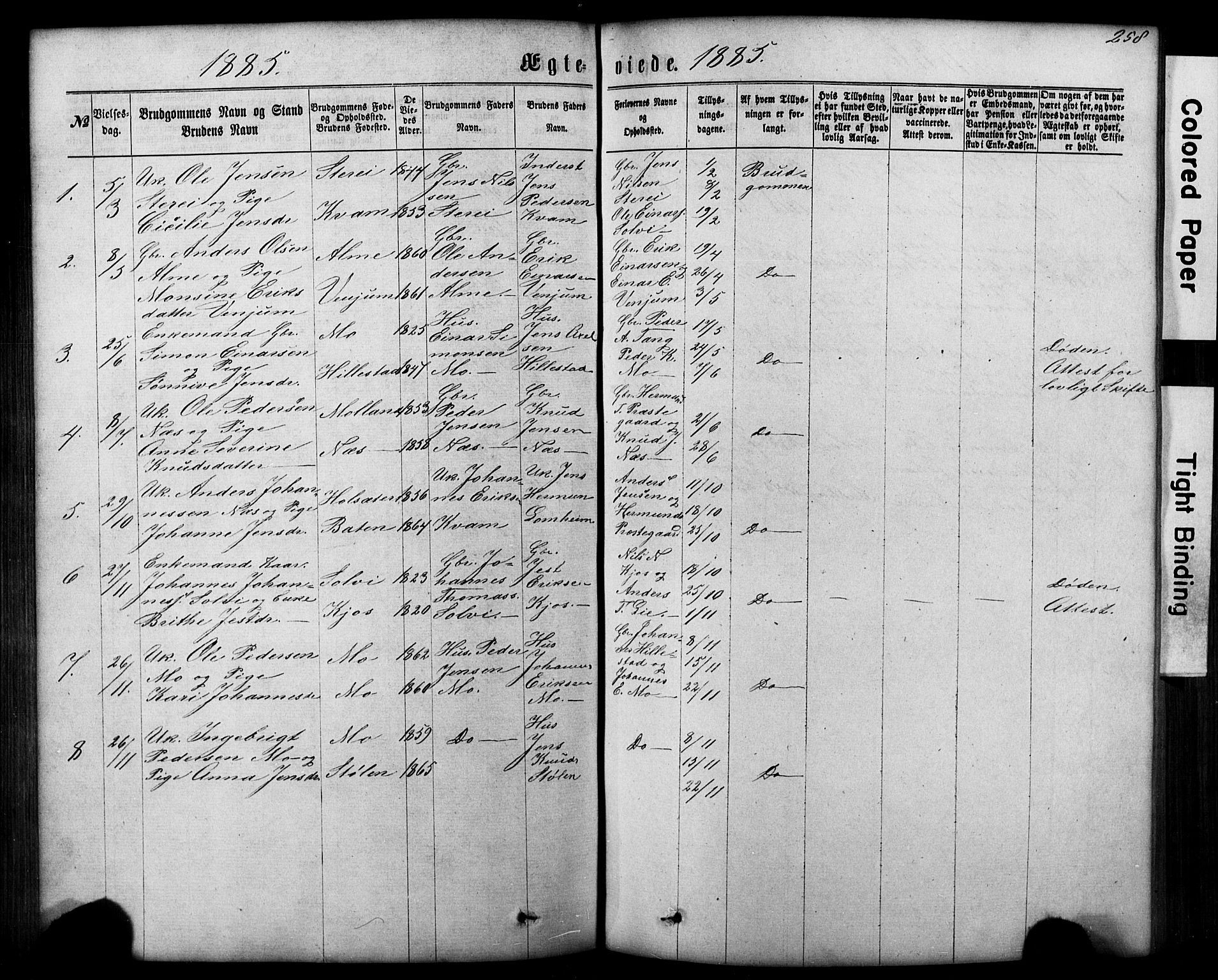 Hafslo sokneprestembete, SAB/A-80301/H/Hab/Haba/L0001: Parish register (copy) no. A 1, 1866-1908, p. 258