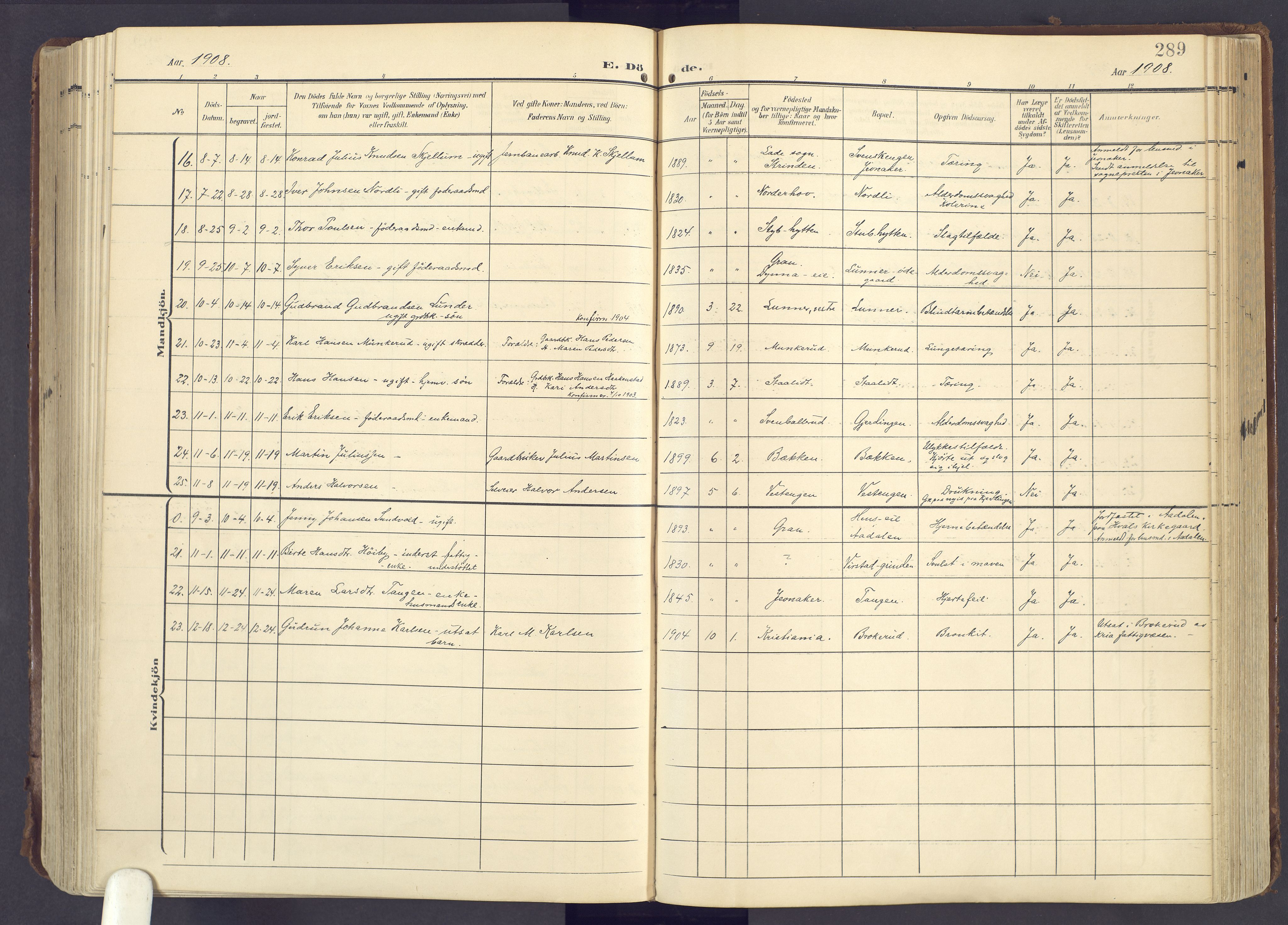 Lunner prestekontor, SAH/PREST-118/H/Ha/Haa/L0001: Parish register (official) no. 1, 1907-1922, p. 289