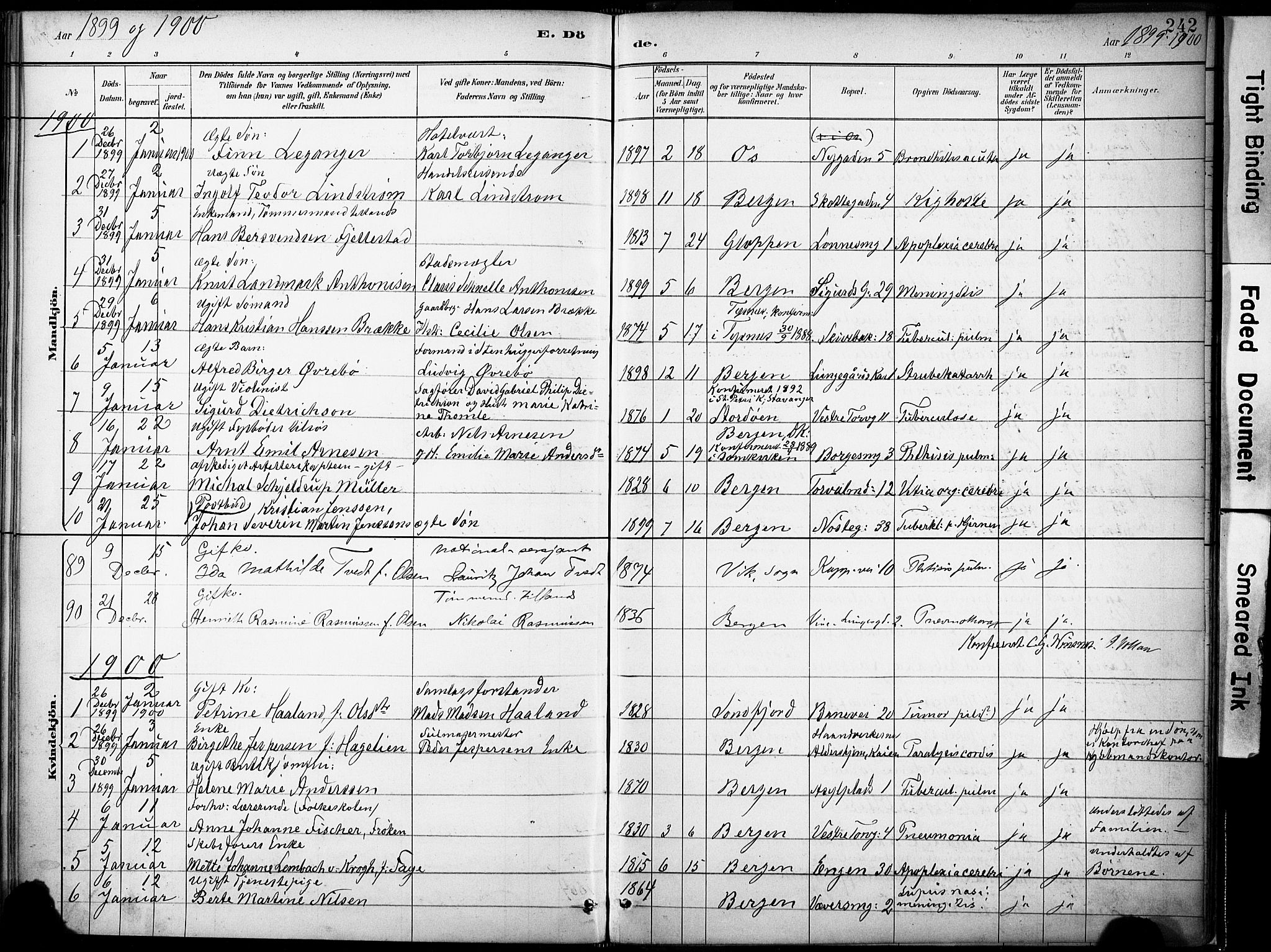 Domkirken sokneprestembete, AV/SAB-A-74801/H/Haa/L0043: Parish register (official) no. E 5, 1882-1904, p. 242