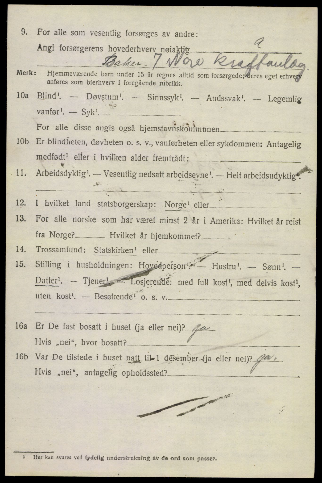 SAKO, 1920 census for Nore, 1920, p. 3993