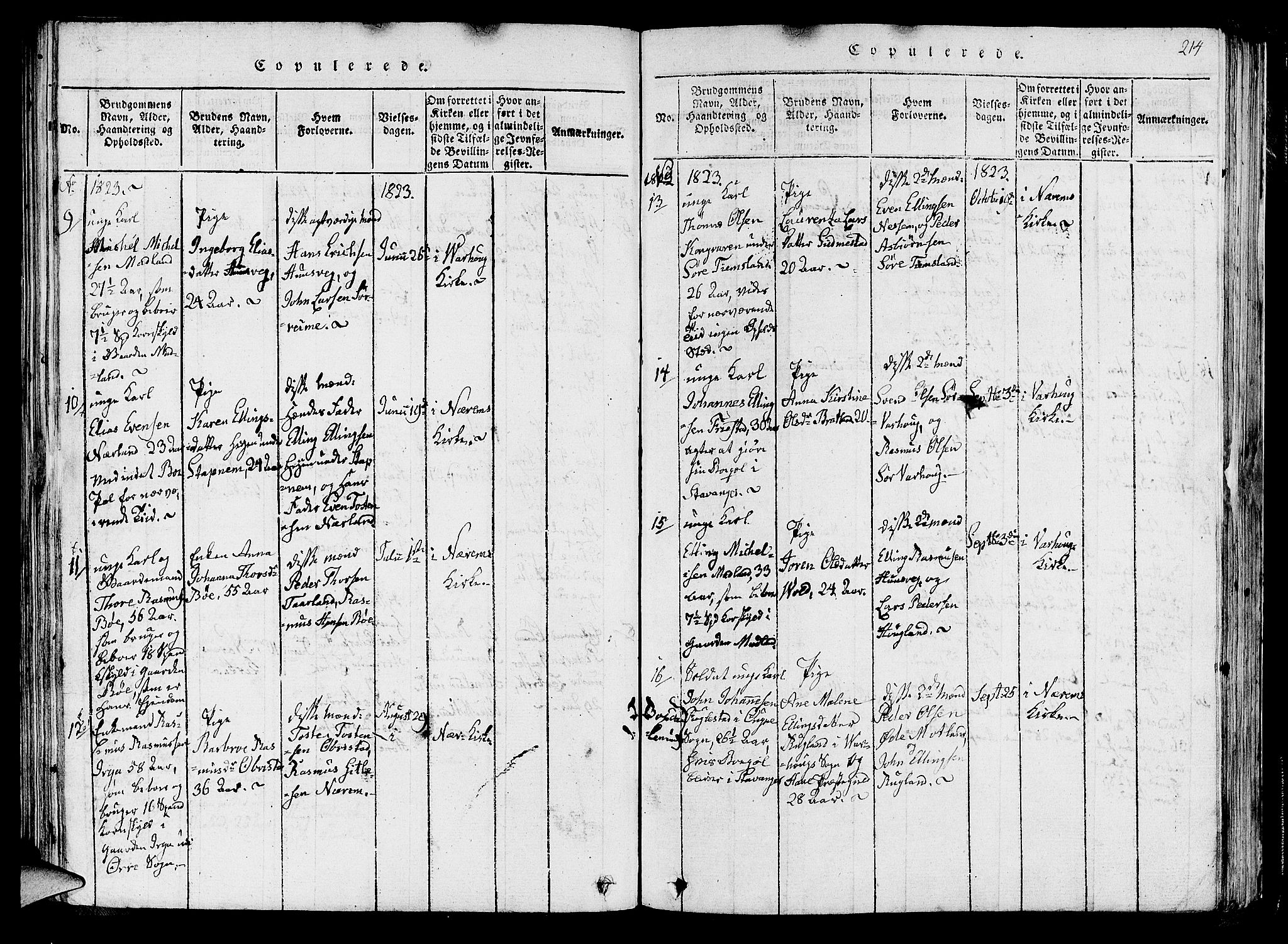 Hå sokneprestkontor, AV/SAST-A-101801/001/30BA/L0003: Parish register (official) no. A 3, 1815-1825, p. 214