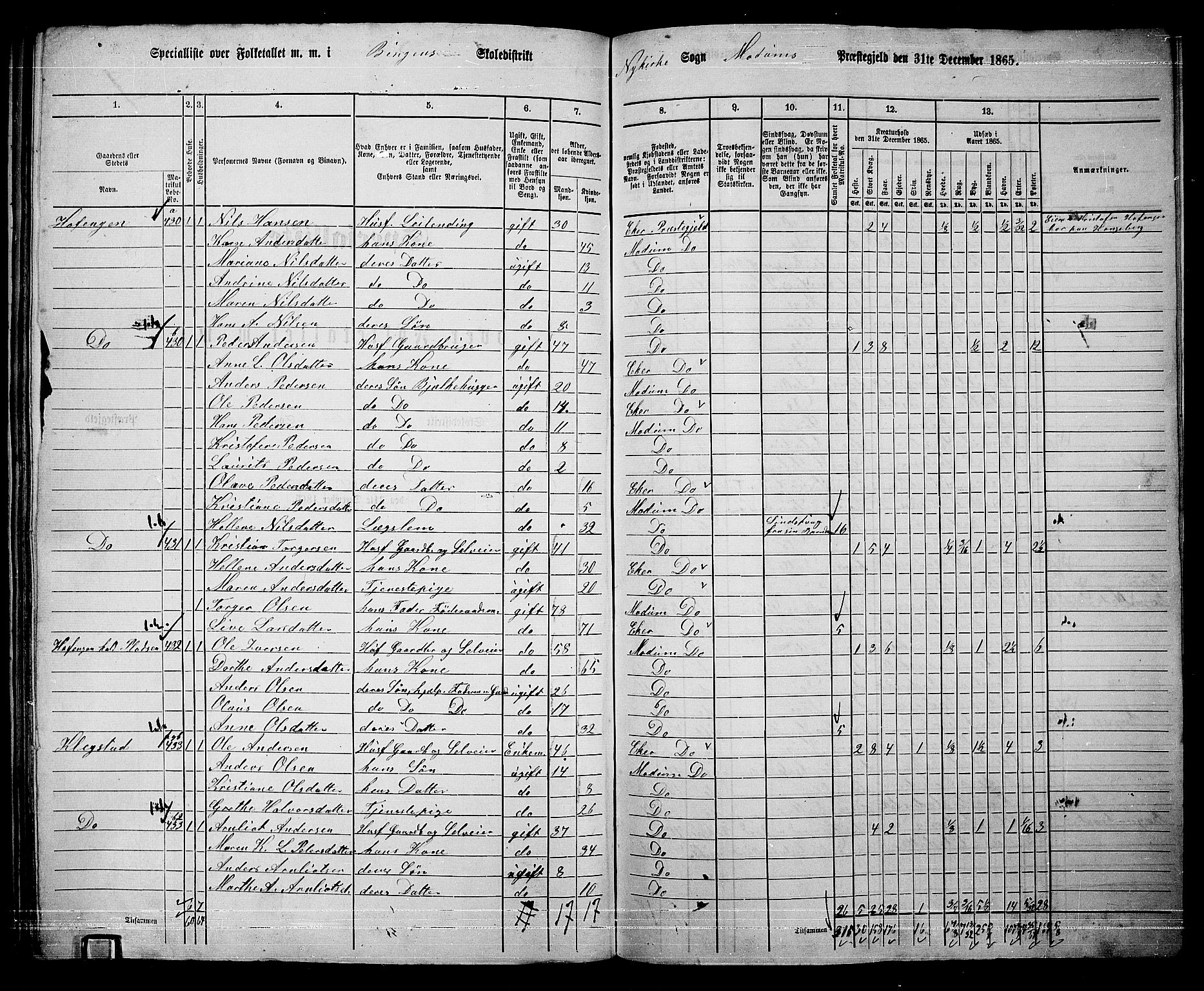 RA, 1865 census for Modum, 1865, p. 289