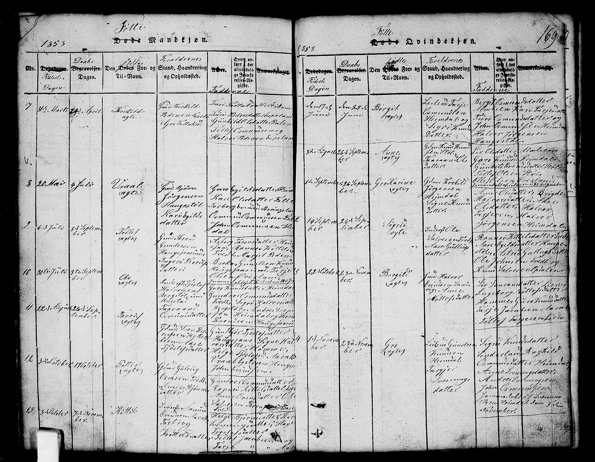 Nissedal kirkebøker, SAKO/A-288/G/Gb/L0001: Parish register (copy) no. II 1, 1814-1862, p. 169