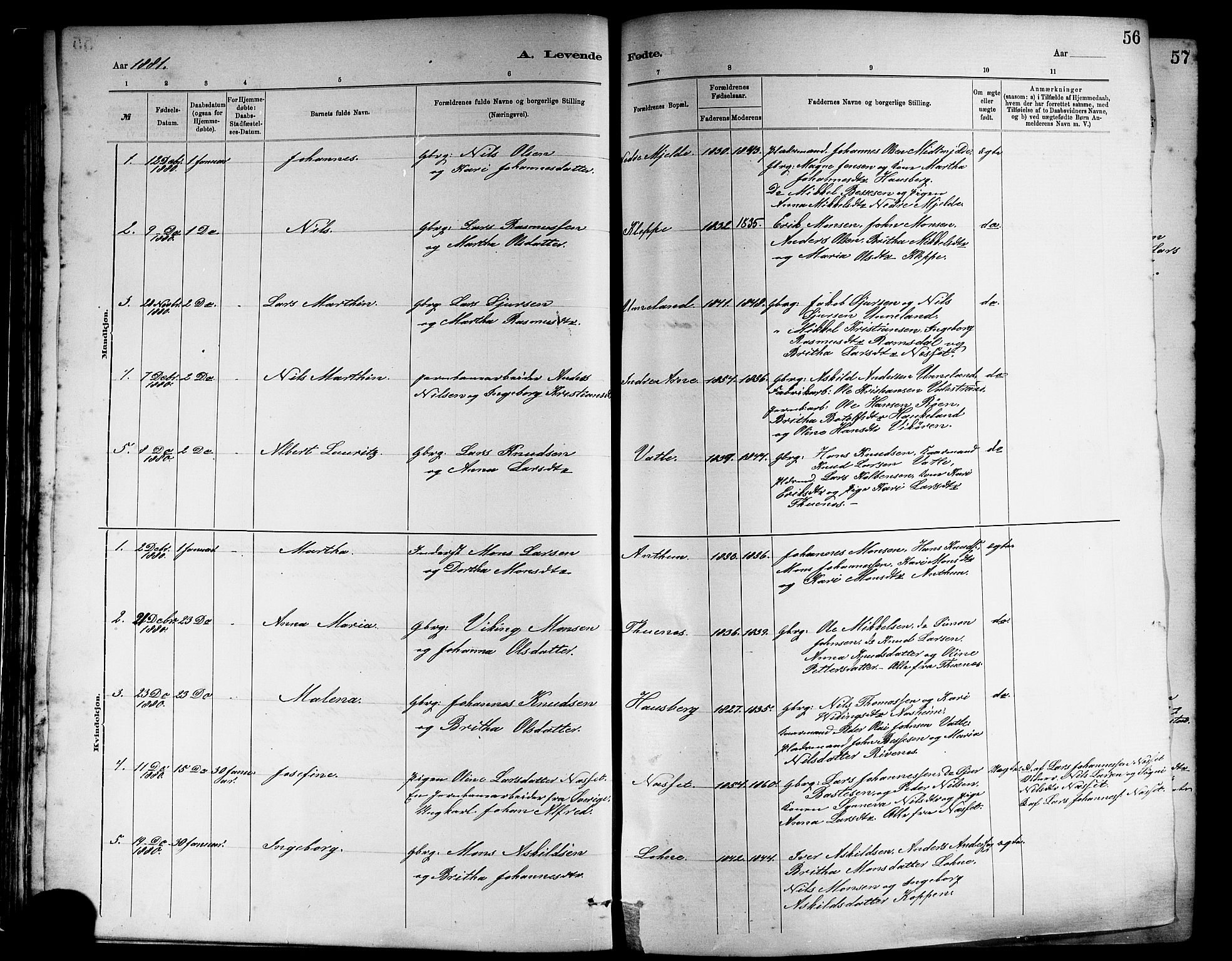 Haus sokneprestembete, SAB/A-75601/H/Haa: Parish register (official) no. A 19I, 1878-1886, p. 56