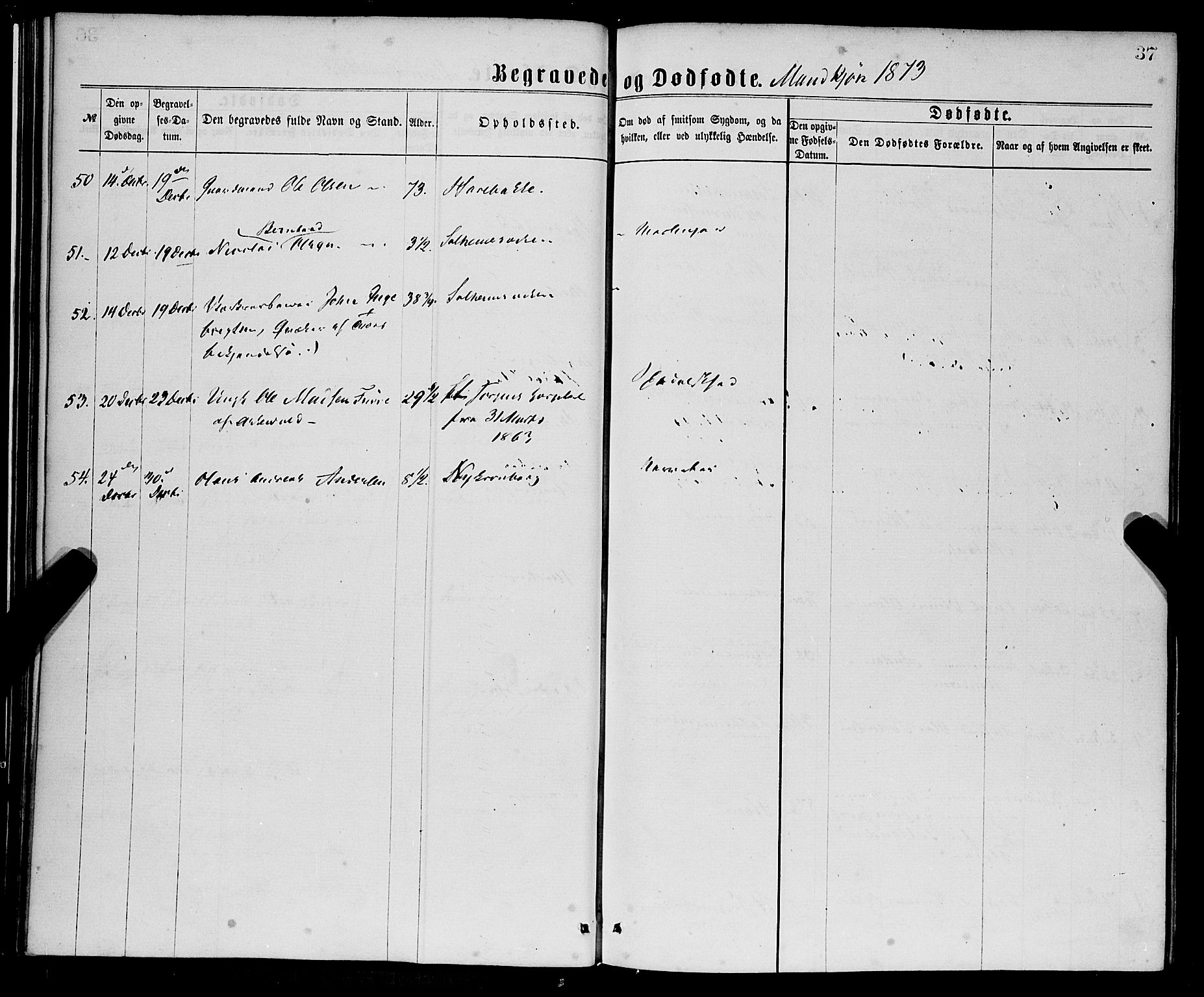 St. Jørgens hospital og Årstad sokneprestembete, AV/SAB-A-99934: Parish register (official) no. A 11, 1864-1886, p. 37