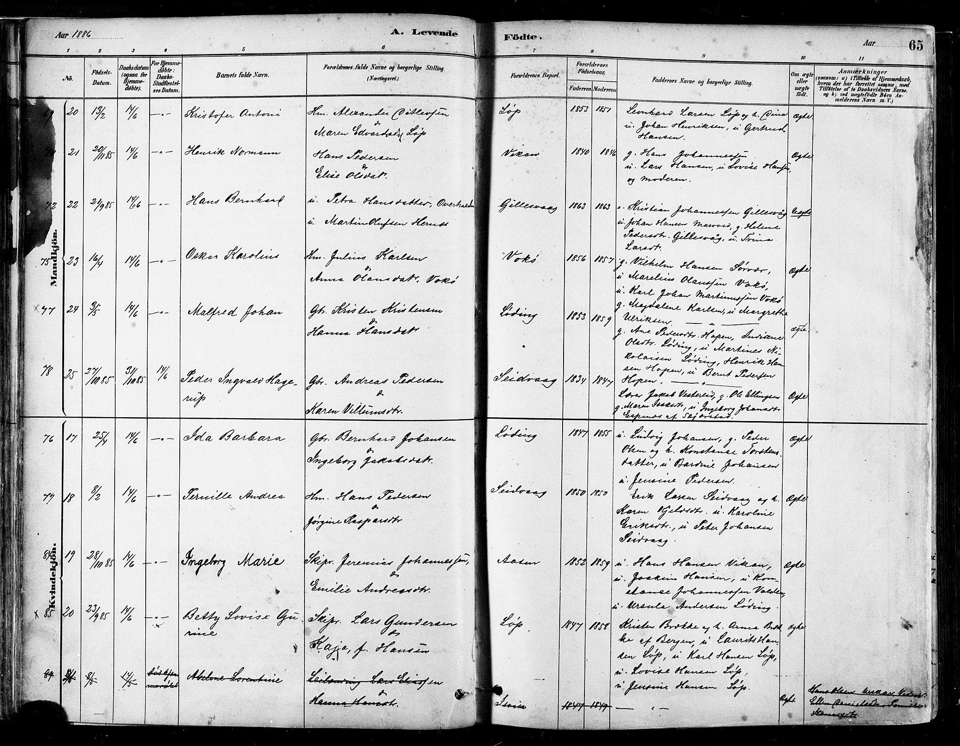 Ministerialprotokoller, klokkerbøker og fødselsregistre - Nordland, AV/SAT-A-1459/802/L0054: Parish register (official) no. 802A01, 1879-1893, p. 65