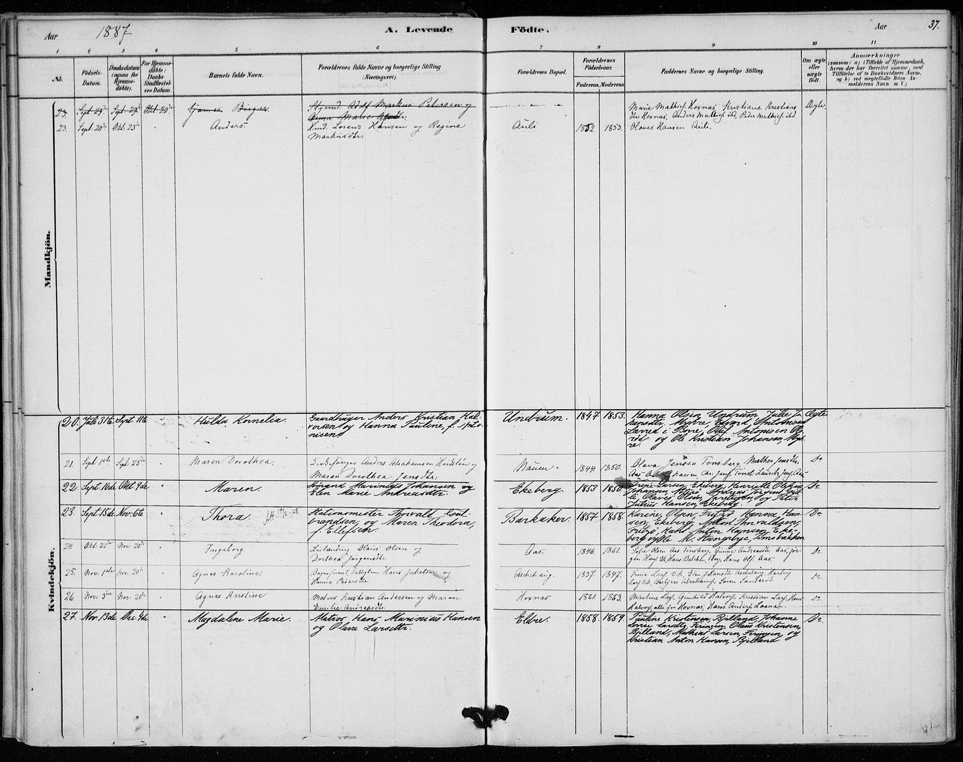 Sem kirkebøker, SAKO/A-5/F/Fa/L0010: Parish register (official) no. I 10, 1878-1887, p. 37