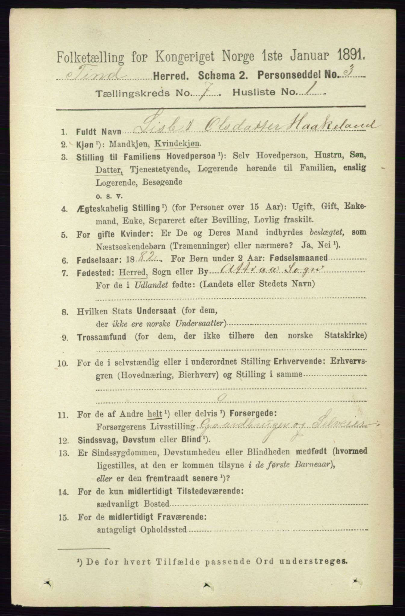 RA, 1891 census for 0826 Tinn, 1891, p. 1441