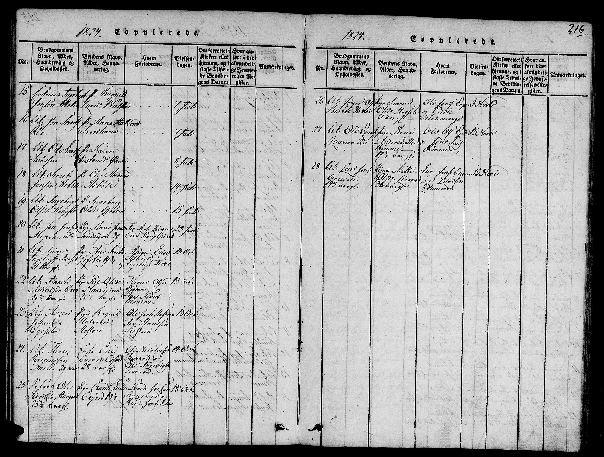 Ministerialprotokoller, klokkerbøker og fødselsregistre - Sør-Trøndelag, SAT/A-1456/668/L0803: Parish register (official) no. 668A03, 1800-1826, p. 216