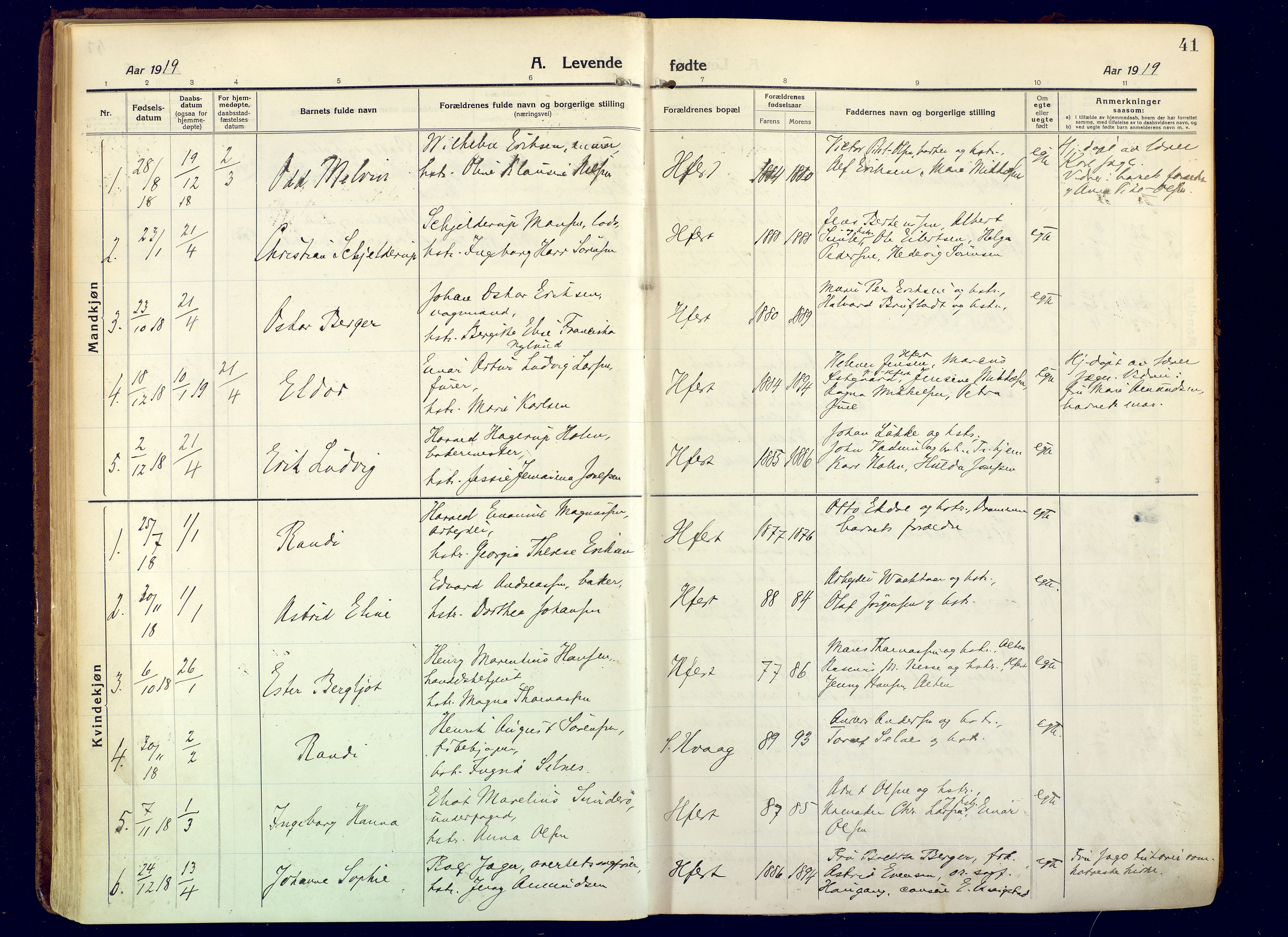 Hammerfest sokneprestkontor, SATØ/S-1347/H/Ha/L0015.kirke: Parish register (official) no. 15, 1916-1923, p. 41