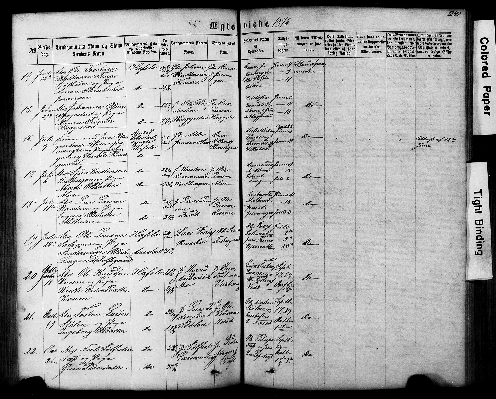 Hafslo sokneprestembete, AV/SAB-A-80301/H/Hab/Haba/L0001: Parish register (copy) no. A 1, 1866-1908, p. 241