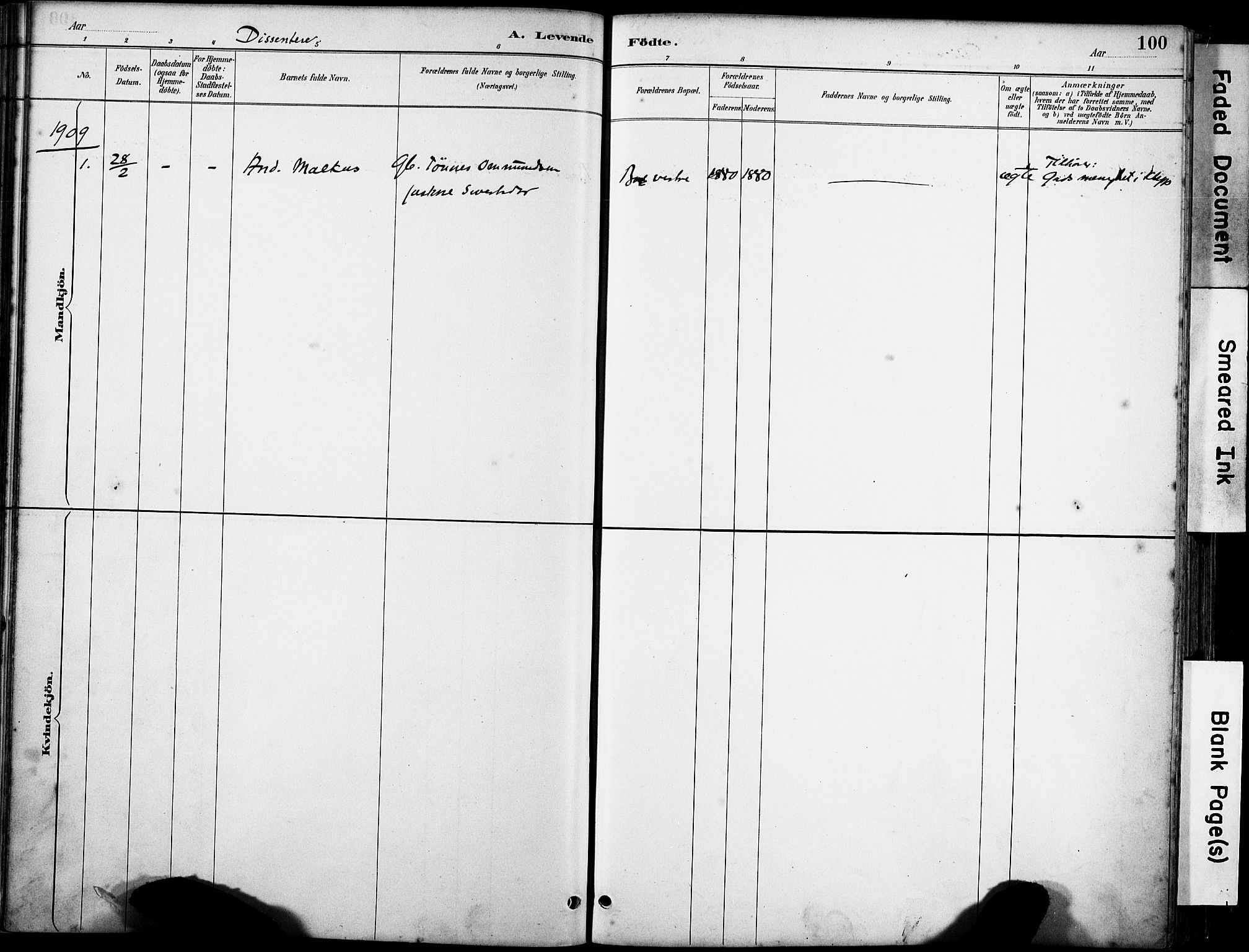 Klepp sokneprestkontor, SAST/A-101803/001/3/30BA/L0008: Parish register (official) no. A 9, 1886-1919, p. 100