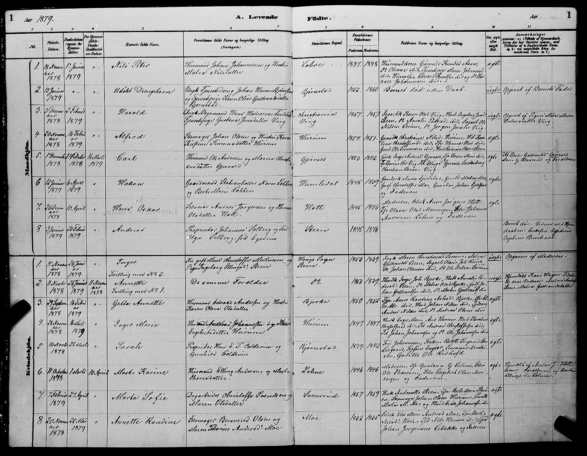 Hole kirkebøker, SAKO/A-228/G/Ga/L0003: Parish register (copy) no. I 3, 1879-1904, p. 1