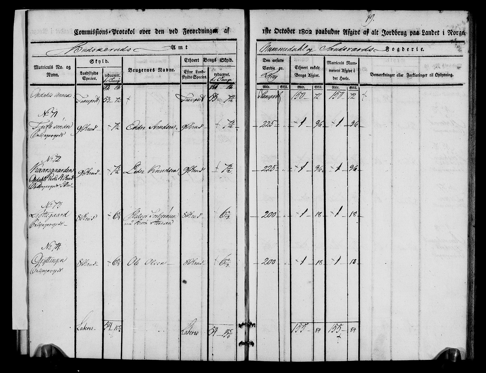 Rentekammeret inntil 1814, Realistisk ordnet avdeling, AV/RA-EA-4070/N/Ne/Nea/L0056b: Numedal og Sandsvær fogderi. Kommisjonsprotokoll over matrikulerte jordbruk i Uvdal og Nore annekser, 1803, p. 19