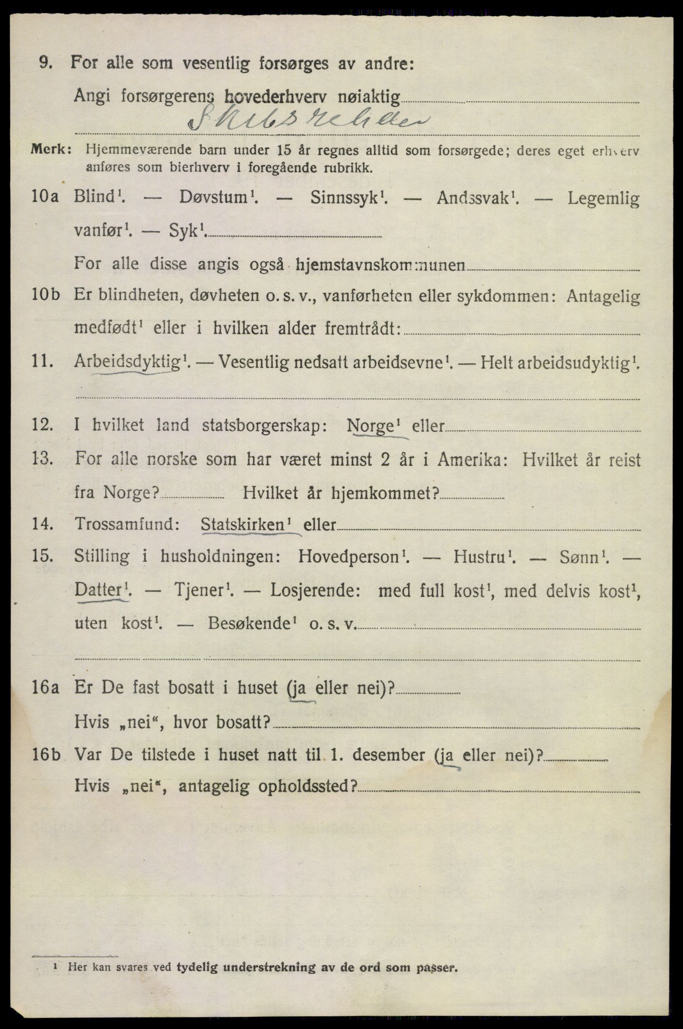 SAKO, 1920 census for Sandeherred, 1920, p. 11909