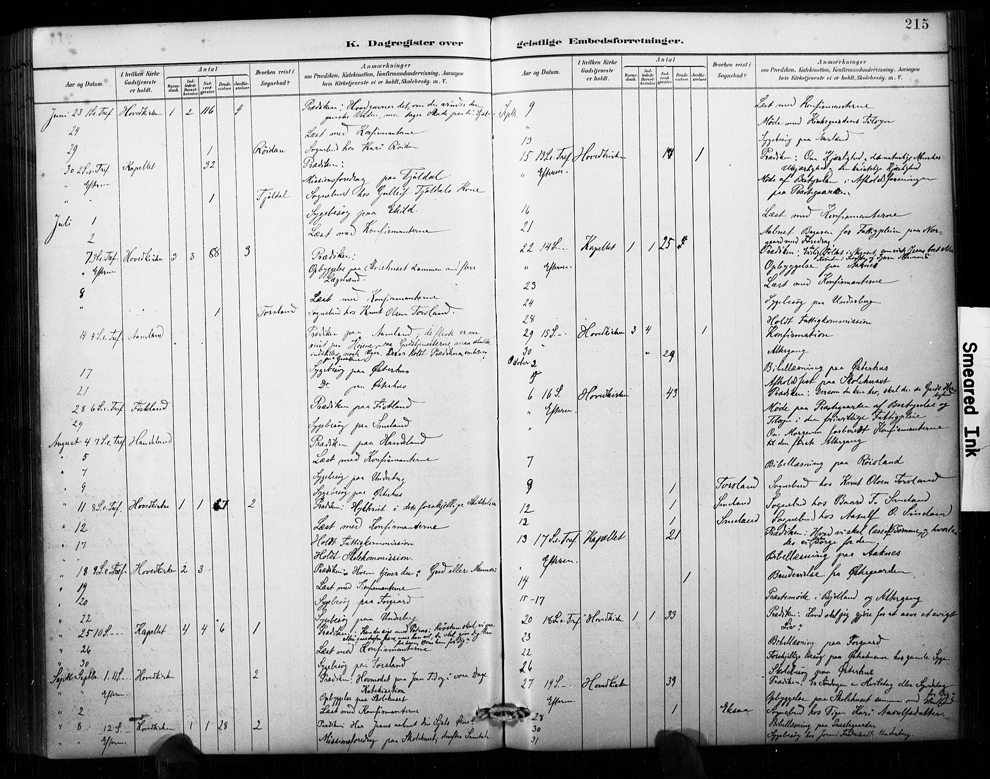 Åseral sokneprestkontor, AV/SAK-1111-0051/F/Fa/L0003: Parish register (official) no. A 3, 1884-1901, p. 215