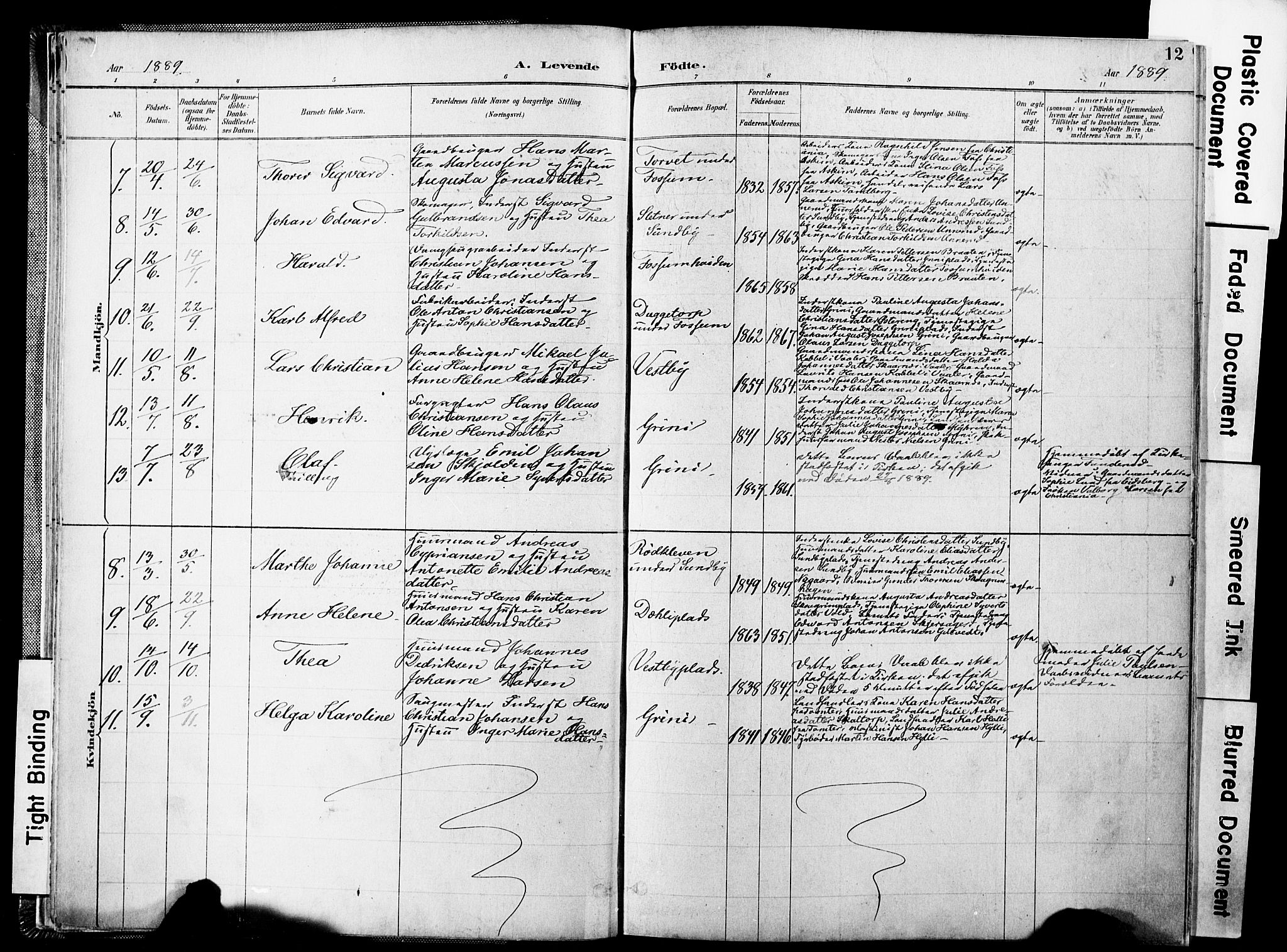 Spydeberg prestekontor Kirkebøker, AV/SAO-A-10924/F/Fa/L0008: Parish register (official) no. I 8, 1886-1900, p. 12