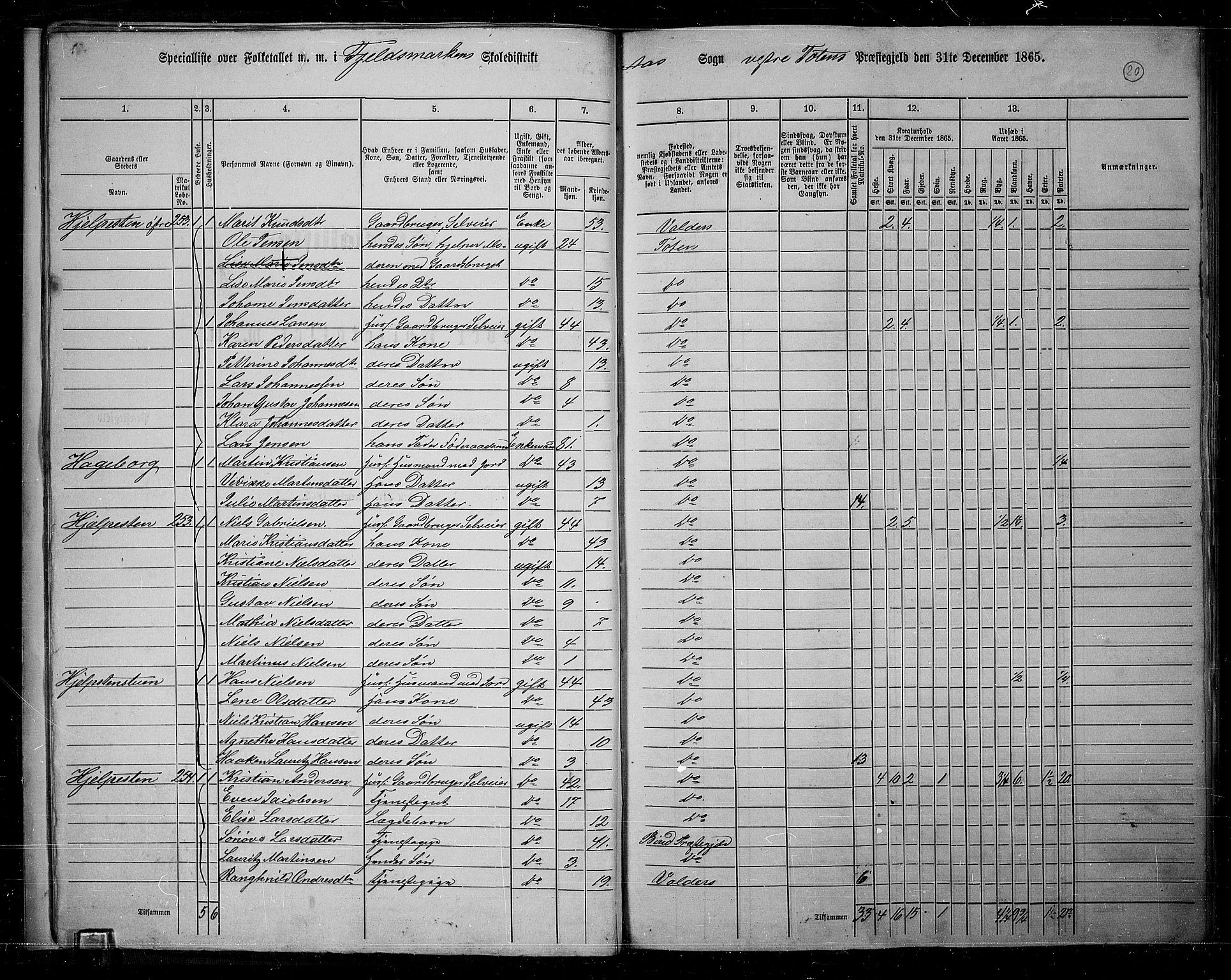 RA, 1865 census for Vestre Toten, 1865, p. 21