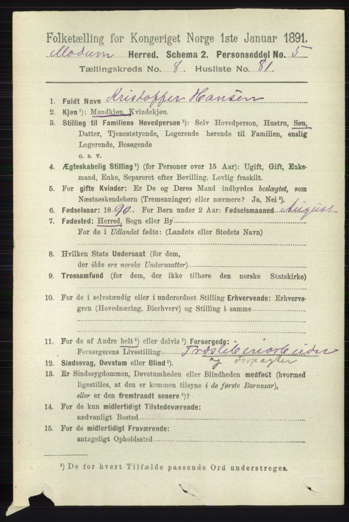 RA, 1891 census for 0623 Modum, 1891, p. 3354