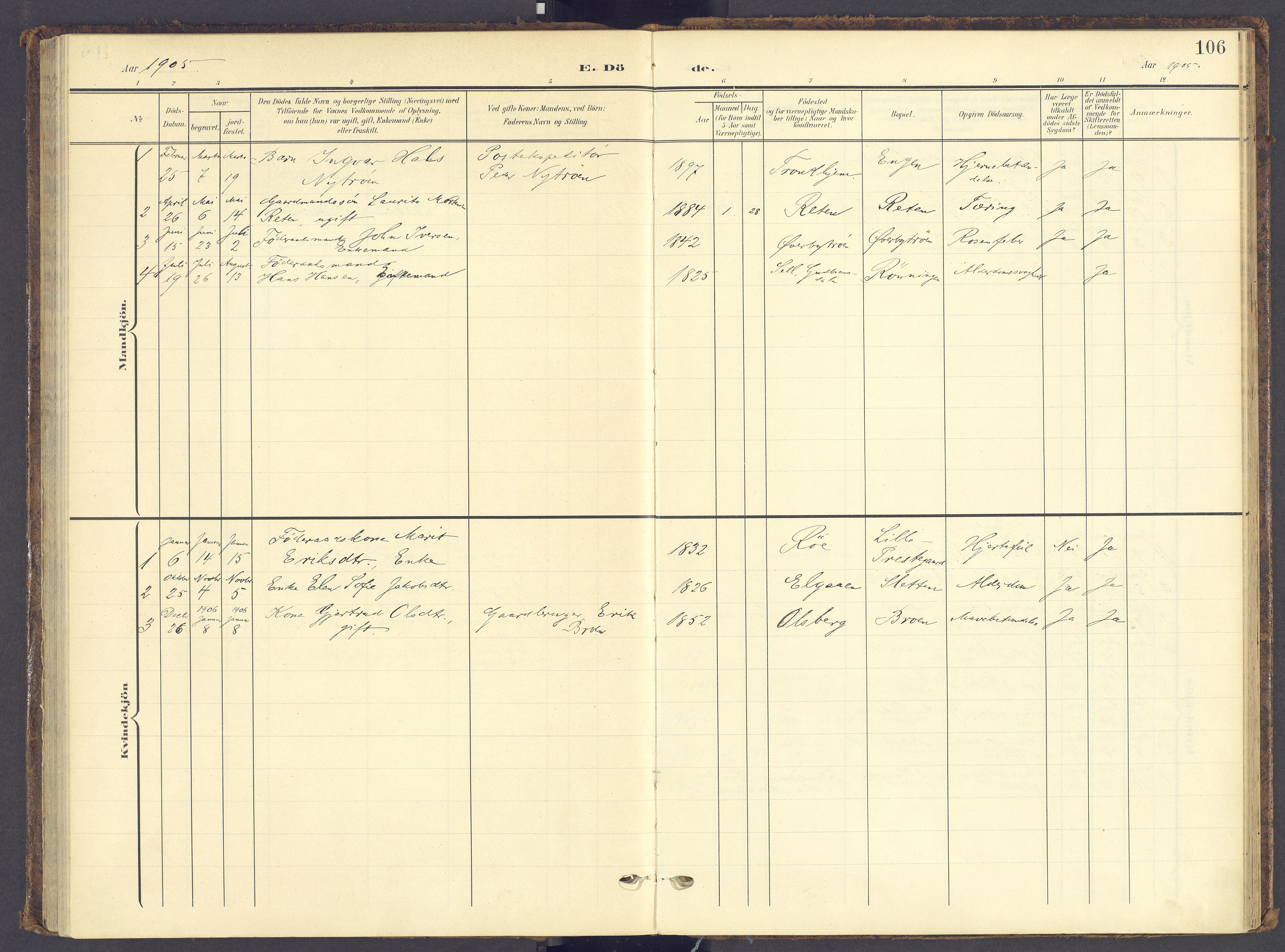 Tynset prestekontor, AV/SAH-PREST-058/H/Ha/Haa/L0028: Parish register (official) no. 28, 1902-1929, p. 106
