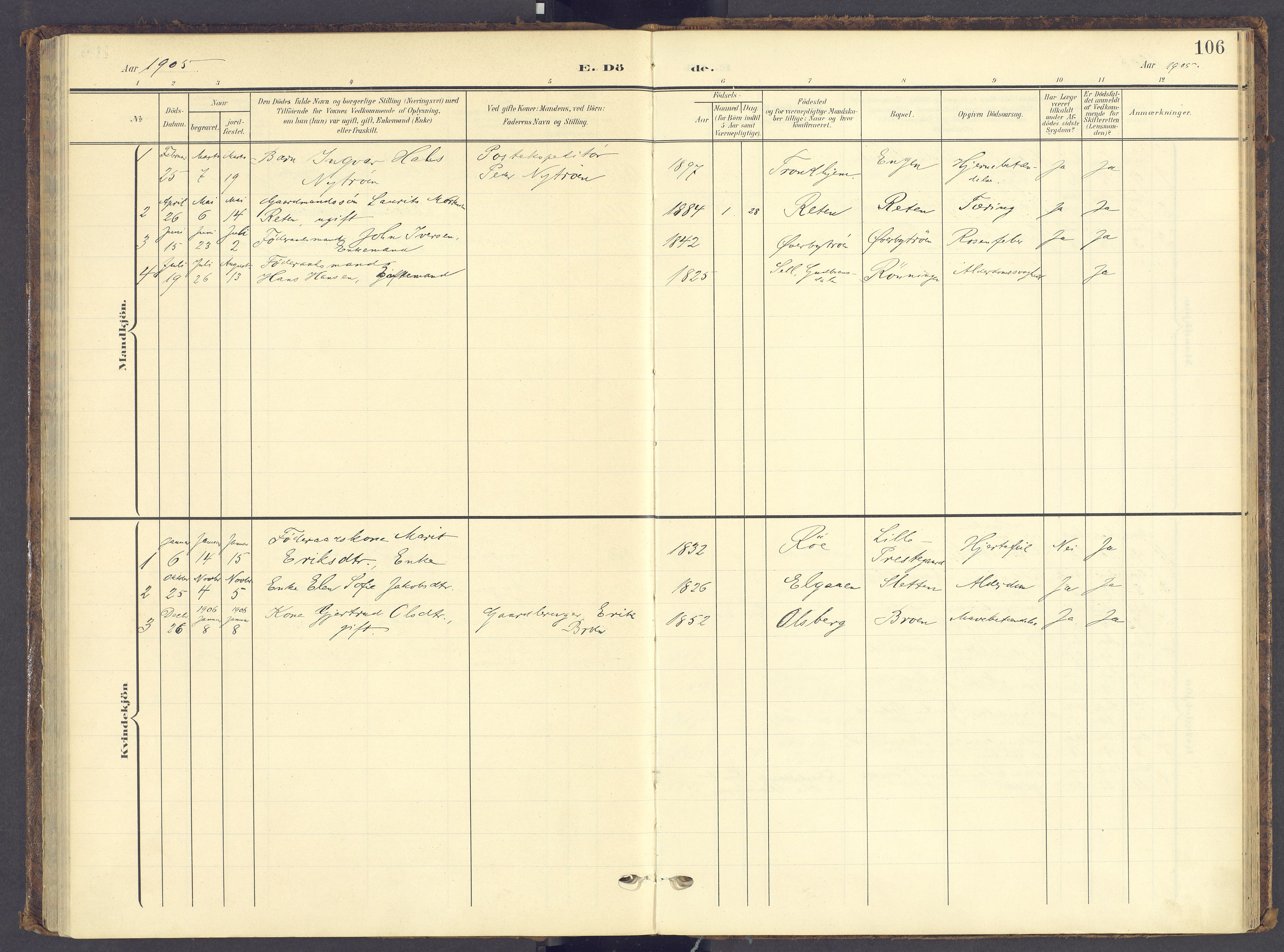 Tynset prestekontor, AV/SAH-PREST-058/H/Ha/Haa/L0028: Parish register (official) no. 28, 1902-1929, p. 106