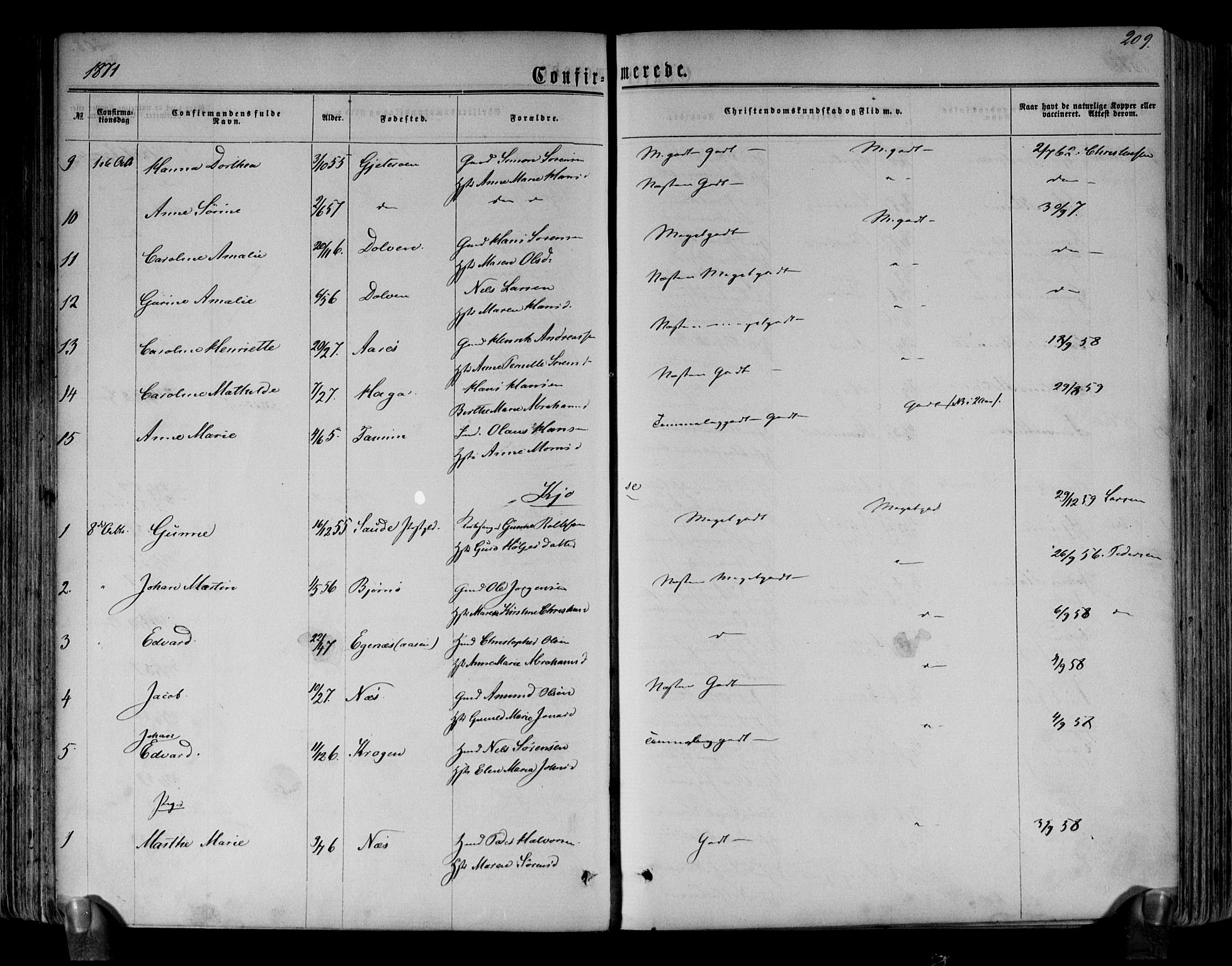 Brunlanes kirkebøker, AV/SAKO-A-342/F/Fa/L0005: Parish register (official) no. I 5, 1862-1877, p. 209