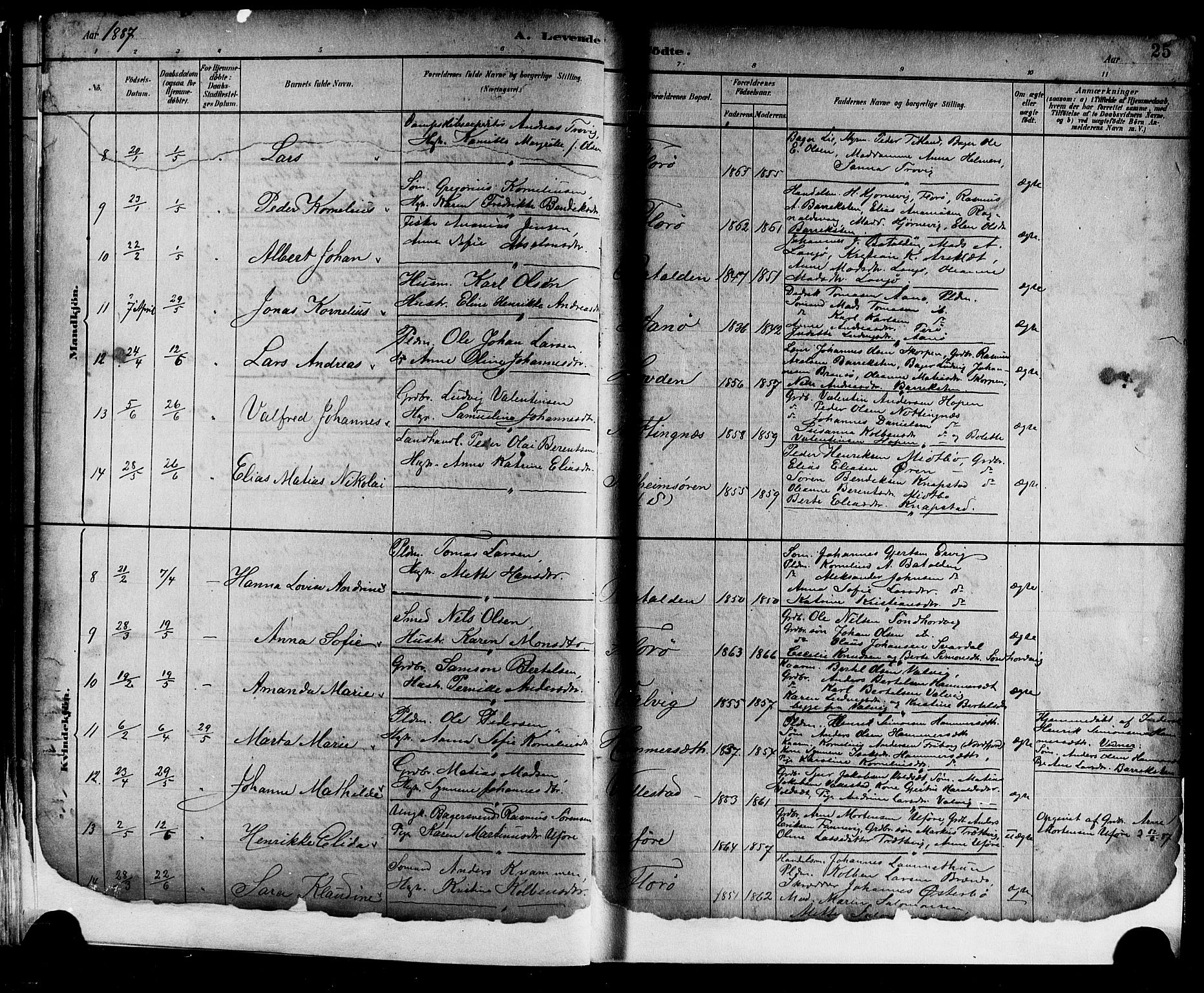 Kinn sokneprestembete, AV/SAB-A-80801/H/Hab/Haba/L0002: Parish register (copy) no. A 2, 1882-1906, p. 25