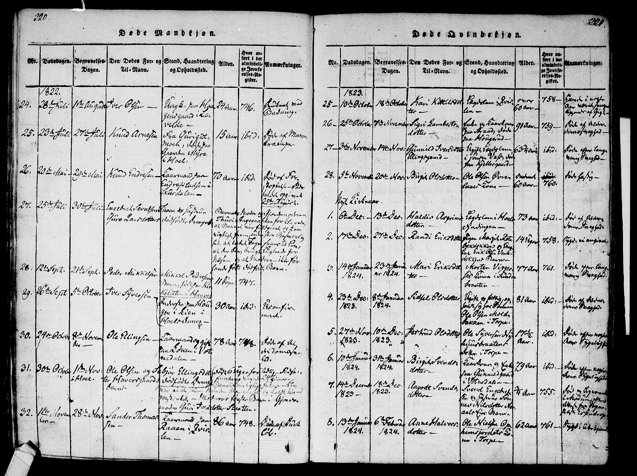 Ål kirkebøker, AV/SAKO-A-249/F/Fa/L0004: Parish register (official) no. I 4, 1815-1825, p. 220-221